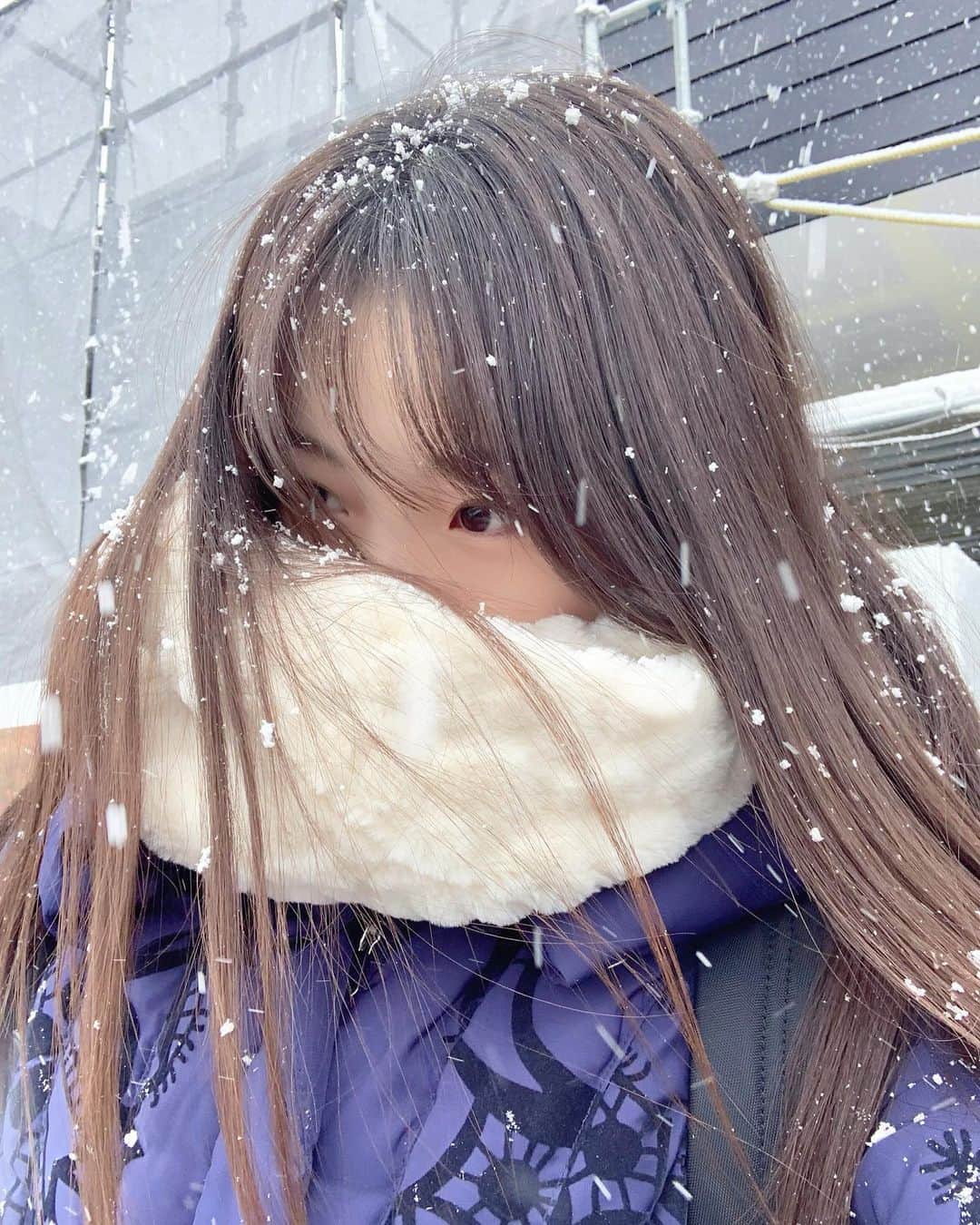 本田真凜さんのインスタグラム写真 - (本田真凜Instagram)「雪頭」11月20日 16時46分 - marin_honda