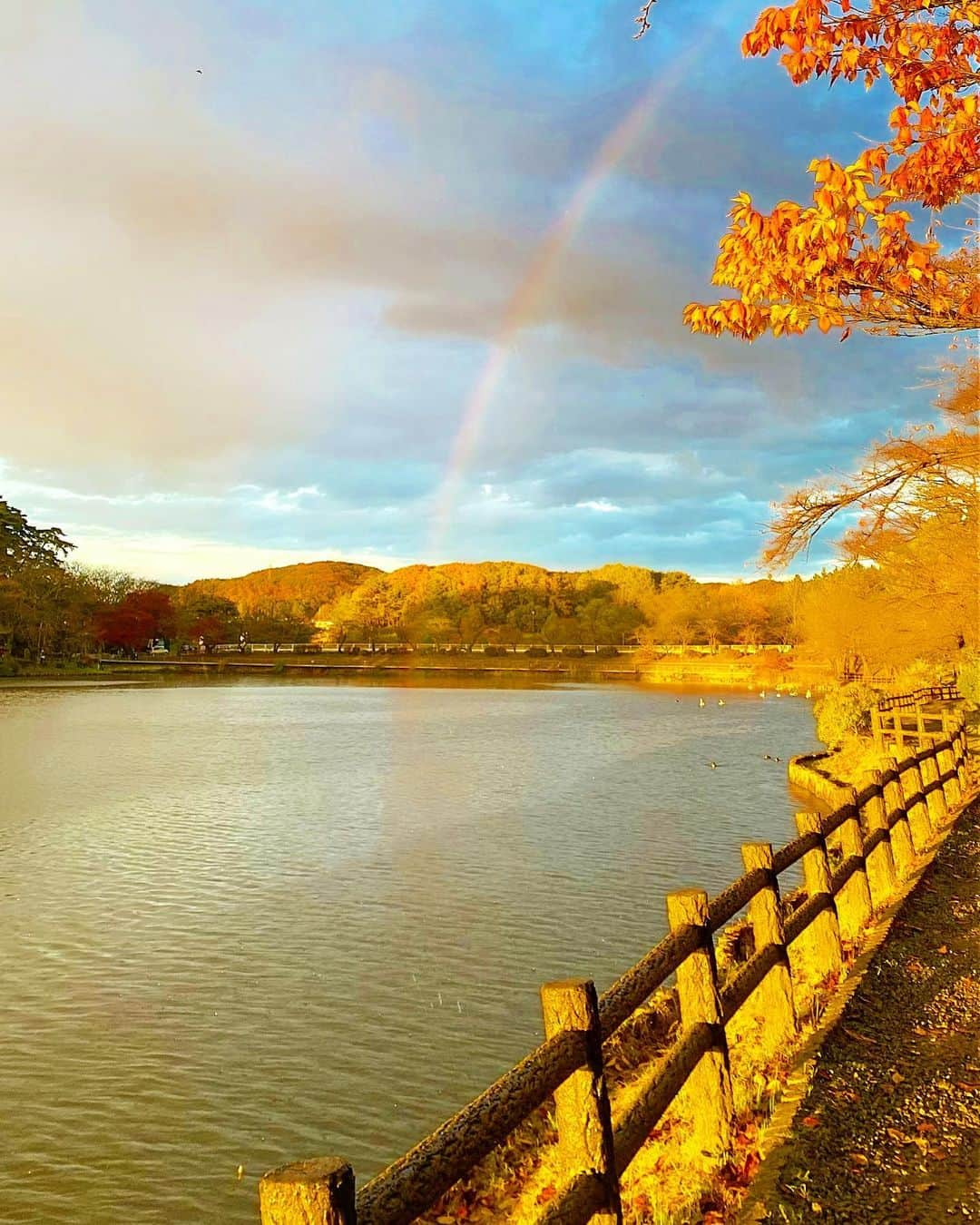 月中秋実さんのインスタグラム写真 - (月中秋実Instagram)「・ ・ 雨上がりの空 虹がかかってたよ✨ ・ ・ ・ #岩手#盛岡#帰省#池#観光#名所#高松の池#自然#夕暮れ#夕暮#夕暮れの空#夕方#景色#風景#素敵#雨上がり#虹#虹の橋#秋」11月20日 18時48分 - tukinakaakimi