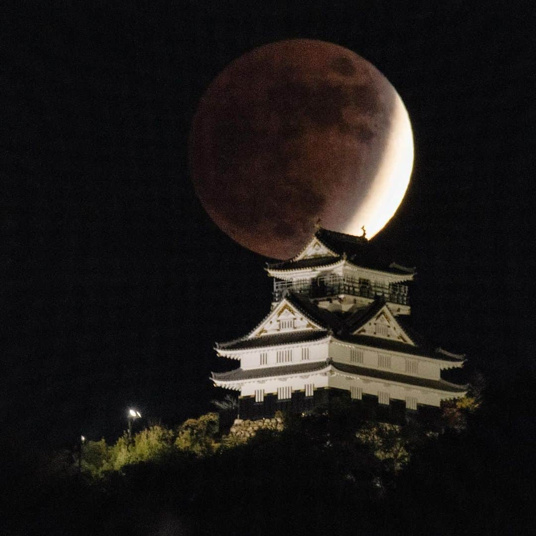 島津咲苗さんのインスタグラム写真 - (島津咲苗Instagram)「なないろ天気の中で紹介があった昨日の月食。 気象予報士の棚瀬さん @tanaseda が撮ったものです。 岐阜城と月...なんて美しいのでしょう。 皆さんにも観ていただきたくて、棚瀬さんに掲載許可をいただきました😌  この地方の誇れる景色の一つですね。 . . . #岐阜城 #gifu #岐阜観光 #月食 #ほぼ皆既月食 #部分月食 #写真好き #岐阜県 #photography #photooftheday #夜景 #合成じゃないよ #日本の絶景 #日本の景色 #城 #月夜 #写真好き #カメラマン」11月20日 18時57分 - sanae_shimazu