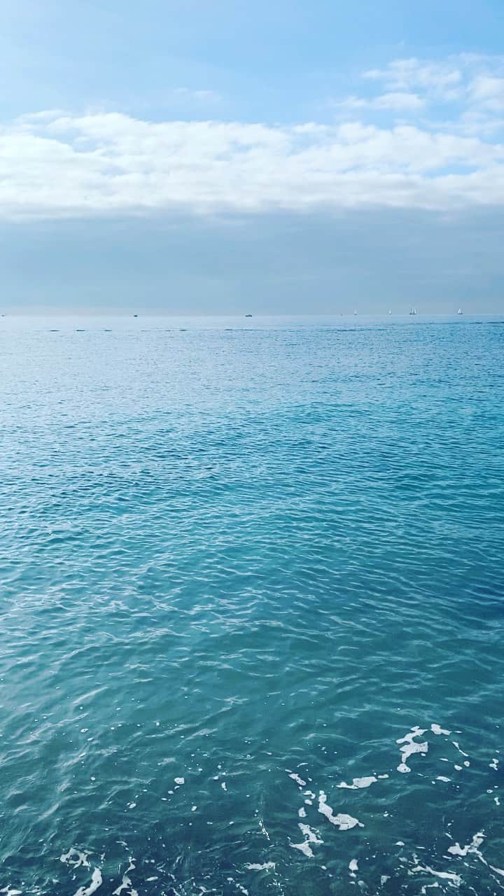 コリアックのインスタグラム