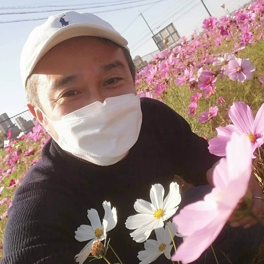 佐藤裕二さんのインスタグラム写真 - (佐藤裕二Instagram)「きょうはまさに小春日和でしたね💮コスモス畑を発見！  看板が立っていて「ご自由にお楽しみください」とあったので、お言葉に甘えました。 嬉しいです。  朝晩は冷えますが、昼はポカポカ、小春日和は季節の二刀流ですね（笑）  あすも素敵な一日になりますように💐  #コスモス畑°#コスモス#秋桜 #小春日和#山口百恵 さん #花#秋の花#二刀流 #メーテレ#佐藤裕二 #花おじさん#自撮りおじさん」11月20日 19時59分 - karaage_satou
