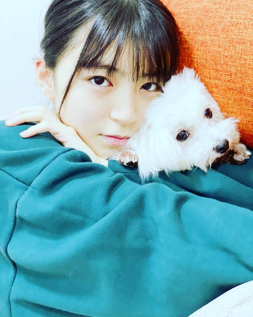 大里菜桜さんのインスタグラム写真 - (大里菜桜Instagram)「怒ってるみたいな顔してるけど怒ってないよ😀バービーはちょっと苦しそうだけどいじめてないよ💦🐶今から少しだけ勉強して22時からのオンエアに備えよう‼️今日は2月の勝者インスタグラムにもオフショットがたくさん上がってるので見てみてください❤️撮影現場の楽しい雰囲気が伝わるよ👍  #二月の勝者 #オフショット #22時から  #大里菜桜 #愛犬 #苦しい #むぎゅ #おこってないよ #寝落ち注意」11月20日 20時39分 - naooosato