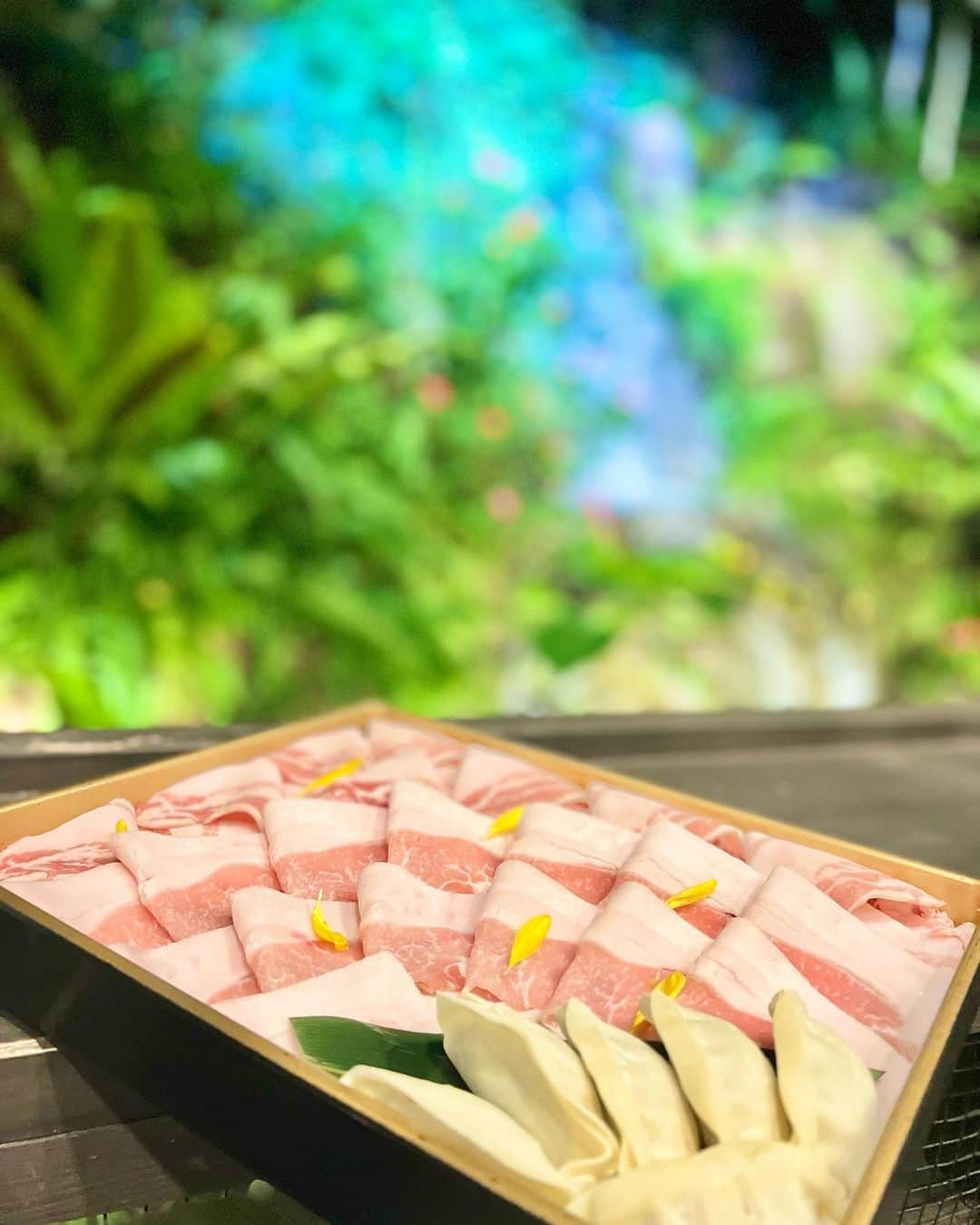 井上麻衣のグルメインスタ