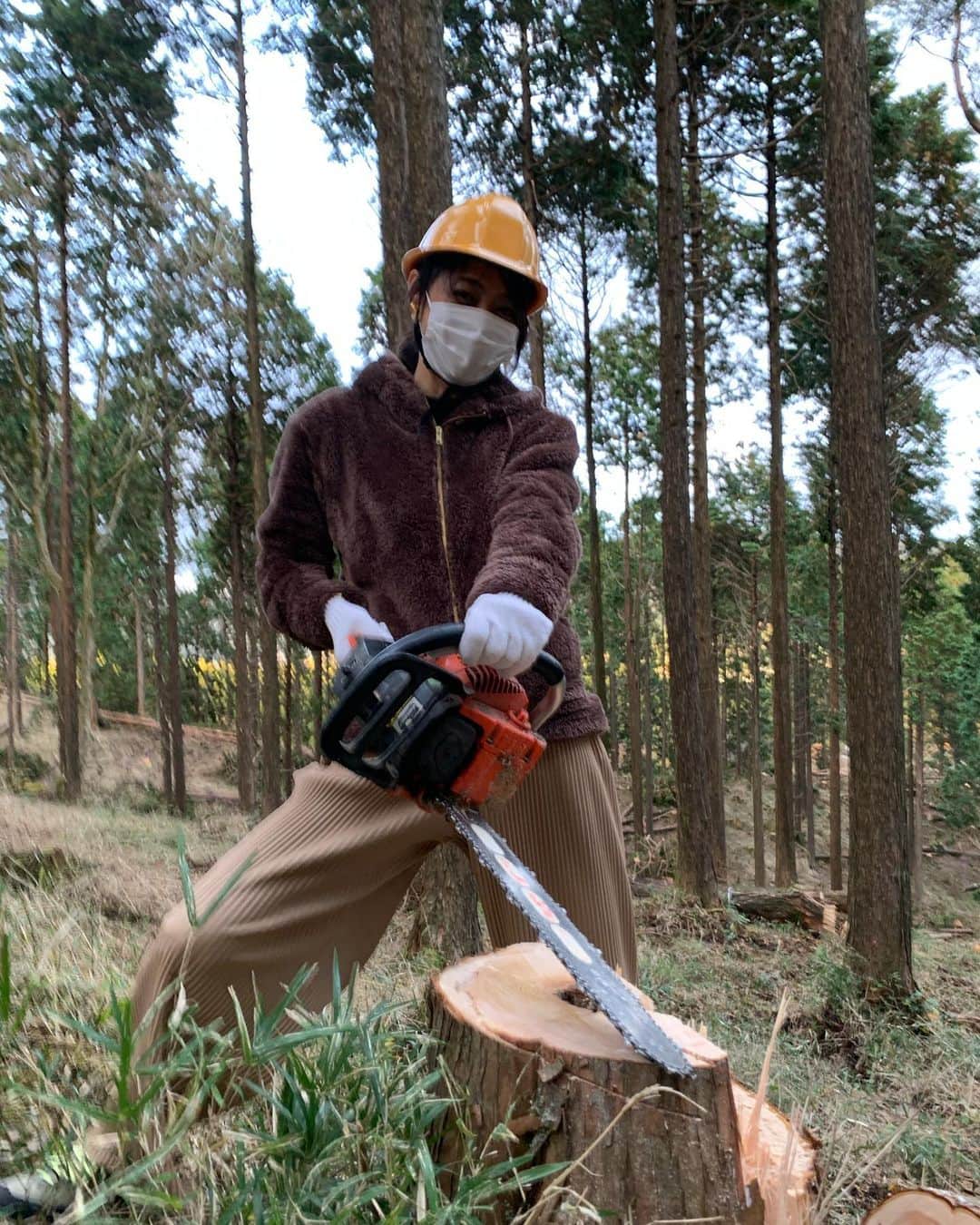 前田典子さんのインスタグラム写真 - (前田典子Instagram)「#チェーンソー　は 持ってみただけ〜😅 #ワイルドだろぉ  #箱根杉の間伐体験 #ノコギリ で地味に 腕がパンパンになるほど 木を切る💦💪  木に切り込みを入れて 反対からノコギリで切り 最後はロープで引っ張りました。#共同作業 倒れる瞬間のバキバキバキッー⚡️ズドーン‼️がたまらないです😆  この日は樹齢30年ぐらいの檜木を切りました 凄くいい香り😌 切り立ての木は湿気があり しっとりバームクーヘンの様でした😋  密集した林はある程度 間伐する必要があります。 地面に陽射しが入らないと緑が育たないからね🌳  #木を切た倒す #初めての体験  まだ、やってない事いっぱいあるなぁ〜😄  ホテルへ戻って @hotelindigohakonegora  夕飯前に #大浴場へ #水着で入る #温泉プール♨️👙 #混浴 #ジャグジー　 #ジェットバス #温中歩行　♨️ #温浴#体が芯からあたたまる   #アクティビティ #チェーンソー　使いたい💚 　1日講習を受けるだけみたい #ジェイソン#旅の備忘録 #マエノリ旅　動画はストーリーズのアーカイブを見てね❣️ つづく」11月21日 9時47分 - maenorichang