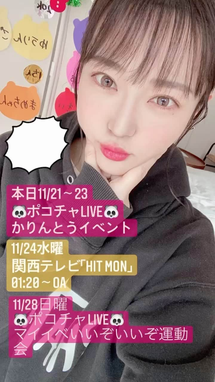 半田あかりのインスタグラム：「珍しく告知🐼🐼🐼  ポコチャLIVEは  ポコチャというアプリをダウンロードしてもらうと見れます😊 🐼🐼🐼半田あかり🐼🐼🐼 で検索してね🌟  #ポコチャ　#ポコチャLIVE #ぽこちゃ #ぽこちゃLIVE #ぽこちゃライバー #ポコチャライバー #ポコチャ配信者  #ぽこちゃライバー #ぽこちゃライブ配信  #半田あかり　#犬のひじき」