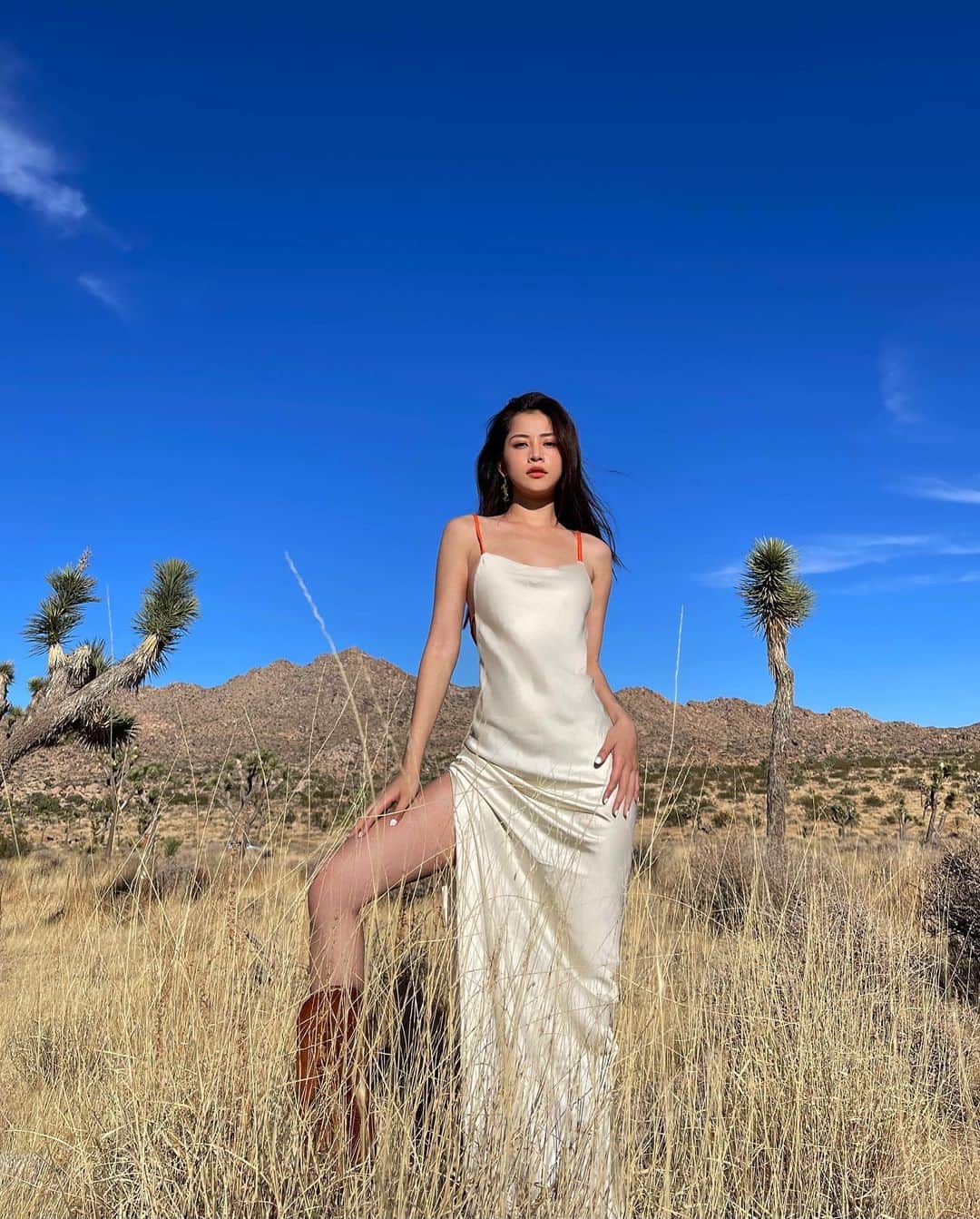 Chi Puのインスタグラム：「Wildest dream」