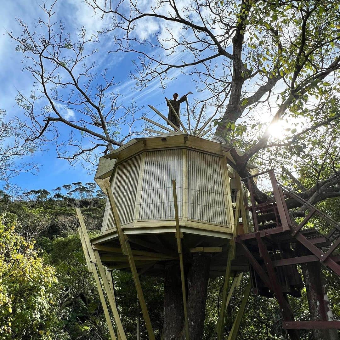 田中律子さんのインスタグラム写真 - (田中律子Instagram)「沖縄名護の清流源河川の畔にあるツリーハウス🏠🌳  Treeful Treehouse Sustainable Resort🌳  @treeful.treehouse   👉　https://treeful.net/  もうドキドキワクワクしちゃう施設でたまりませんでした🤩😍これ全部ツリーハウスです😆 オーナーの菊川さんに、ツリーハウスのこだわりを聞きながら、気分は まるでトムソーヤ👌菊川さんはじめ、ツリーハウスビルダーのみなさま、ありがとうございました🤩  このツリーハウスに宿泊もできます✨　@treeful.treehouse  また遊びに行きまーす❤️  #okinawa  #okinawalife  #beautiful  #sustainable  #luxurylifestyle  #treehouse  #treefulltreehouse」11月21日 15時04分 - ri2kotanaka