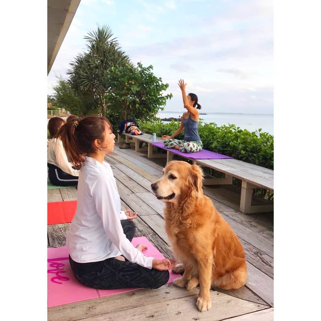 浜崎美保さんのインスタグラム写真 - (浜崎美保Instagram)「夏休みの思い出😋🌺  ヨガ🧘‍♀️に美味しいvegan料理とノンアルコールカクテル😋🍹  大豆ミートの唐揚げもへちまのお浸しも島豆腐も海ぶどうも…ぜーんぶ美味🤤🌺💚体が喜んでいました🥰  お酒だーいすきな私がノンアルコールで過ごした貴重な夜🌕  になるはずが…ヨガメンバーと解散した後一人で飲みに出てもた🙈🍺  ずっとわんこもいて癒されました🤤💕　  ヨガの途中、膝におててを置いてきたのでしばらく手繋ぎヨガの時間も🐶🧡  前世わんこだったのかな🐶  #石垣島 #川平 #沖縄 #vegan #vegan料理 #南国 #夏休み #リトリート #ヨガリトリート #一人旅 #南国旅」11月21日 19時17分 - mihohamasaki_japan