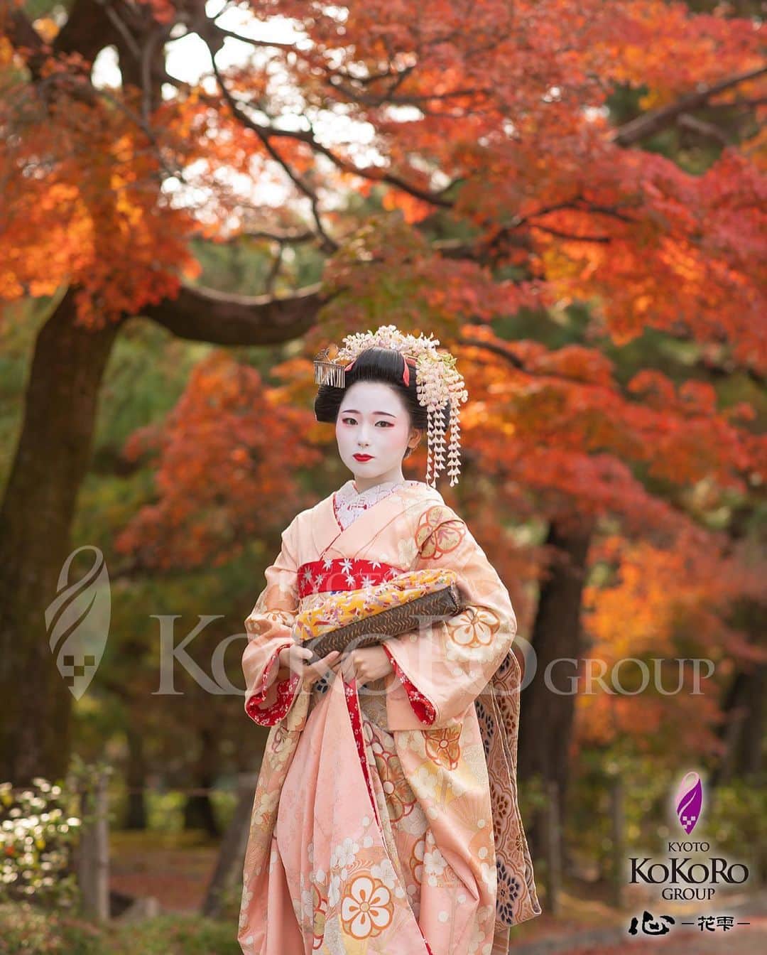 心－花雫－さんのインスタグラム写真 - (心－花雫－Instagram)「#心花雫  祇園の心Aプランをご体験頂いたお客様です🍂  「心-花雫-」近くも紅葉が綺麗に色付いております。 建仁寺での撮影では、紅葉と日本的な建築物が合わさったとても風情のある雰囲気をお楽しみ頂けます✨ 是非この機会にご体験下さいませ✨  #舞妓体験 #舞妓 #花魁 #花魁体験 #狐の嫁入り #京都 #花魁変身 #着物 #日本 #キモノ #oiran #変身写真 #変身写真館 #japan #beautiful #祇園 #紅葉  #京都観光 #京都旅行 #kyoto」11月21日 21時46分 - kokoro_hanashizuku