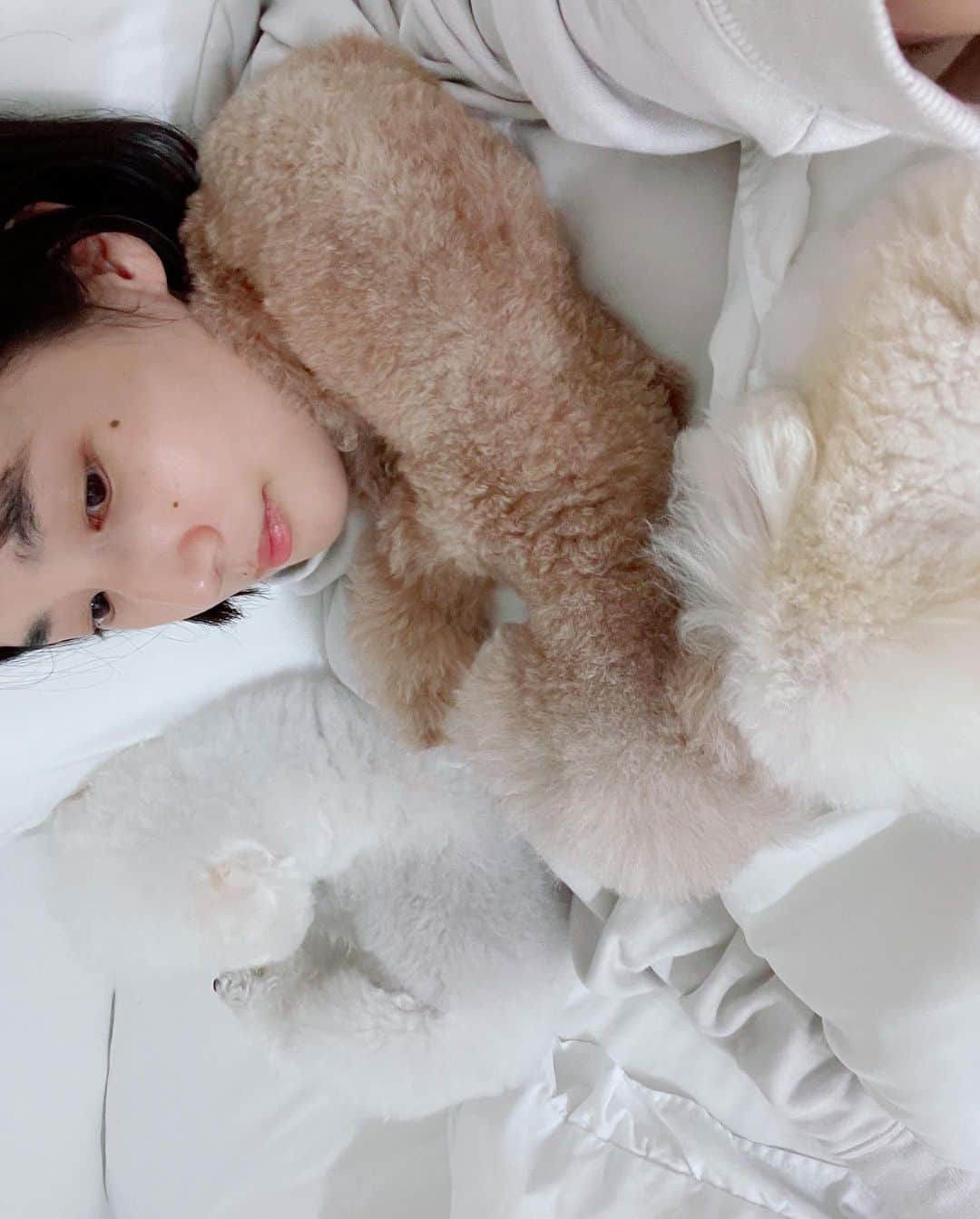 高嶋香帆さんのインスタグラム写真 - (高嶋香帆Instagram)「好きぴ🐶💓 家に長くいれる日大好き、幸せ💓 明日からも頑張ろーう🥱✨  おやすみ！」11月21日 22時30分 - kaho_takashima