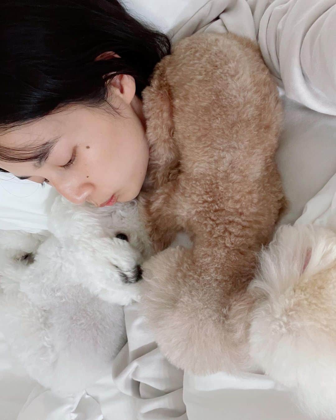 高嶋香帆のインスタグラム：「好きぴ🐶💓 家に長くいれる日大好き、幸せ💓 明日からも頑張ろーう🥱✨  おやすみ！」