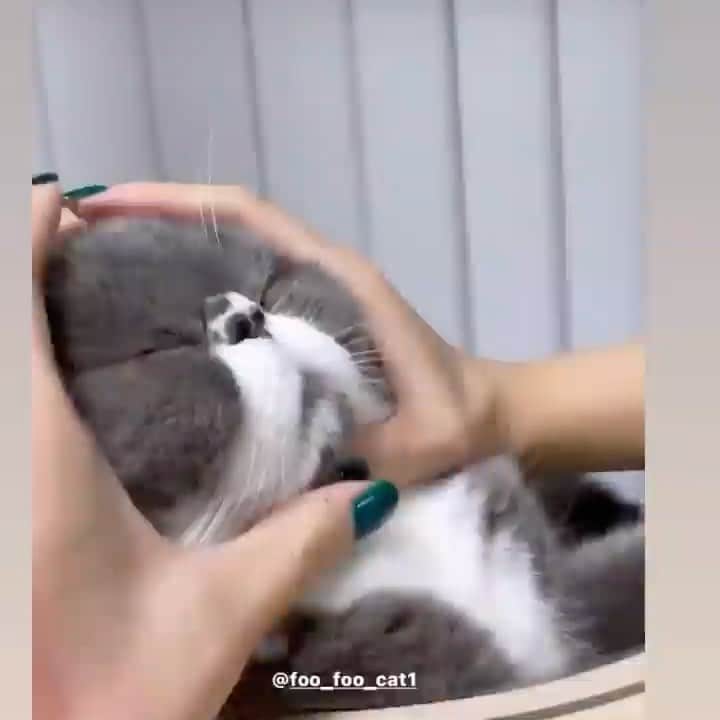 千吉良恵子のインスタグラム