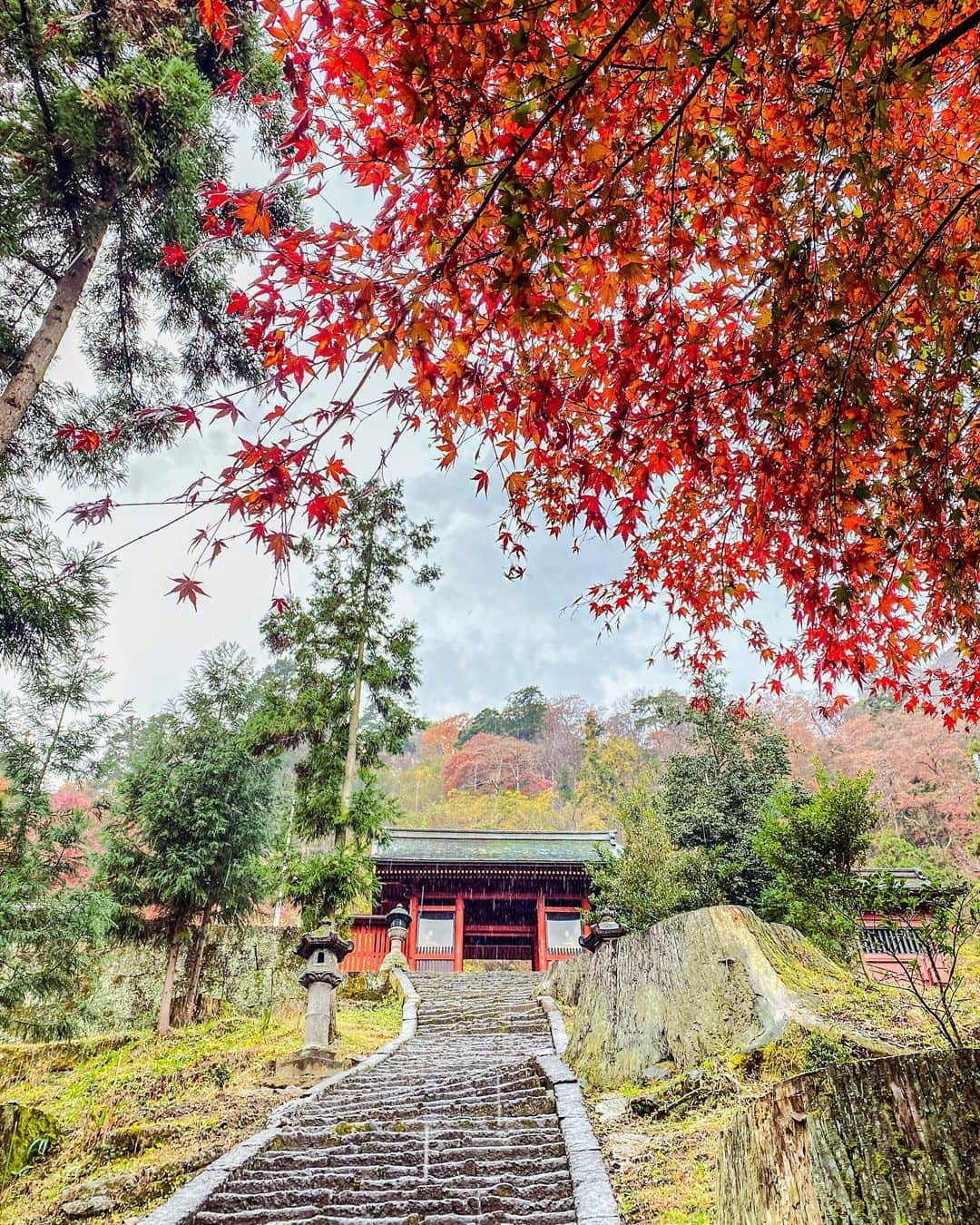 SHOCK EYEさんのインスタグラム写真 - (SHOCK EYEInstagram)「秋の妙義神社⛩  長い階段を息を切らせて昇り、たどり着いた本殿は黒塗りに鮮やかな装飾。 心がピンと整う感覚🙏✨  オススメは境内にある３本の御神木。 その真ん中に是非立ってみて＾＾ なんかパワーを頂けそう。  この神社さんは、ヤマトタケルなどが祀られていて、 上昇運、出世運などのご利益があるよ。 確かに、切り立った妙義山からはそんなパワーを感じるかも。  あとこの時期だけなのかな？ 境内に設置された穏やかな風鈴の音が気持ちよかったなあ。  今年の紅葉はまだそこまで色付いてなかったので、去年の写真と織り交ぜて紹介するね😊  たまたまご挨拶に行こうと思い立って訪ねたら、ちょうど一年前だった🙏😆✨  ご縁だね。  #妙義神社 #群馬 #妙義山 #myougishrine #gunma #gunmaprefecture #japantravel #japantrip #fujifilm #gfx100s #xs10 #beautifuldestinations #discoverjapan #discoverearth #voyaged #awesome_photographers #IamATraveler #wonderful_places #japanphoto #japanphotography #japan_of_insta #livingonearth #theglobewanderer」11月22日 11時01分 - shockeye_official