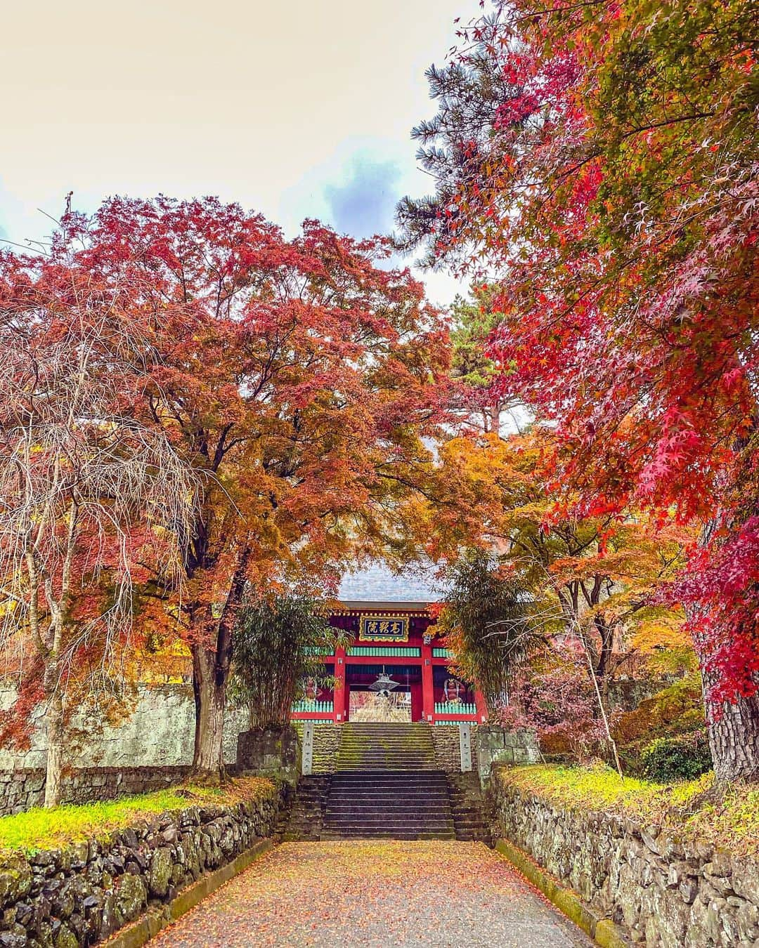 SHOCK EYEさんのインスタグラム写真 - (SHOCK EYEInstagram)「秋の妙義神社⛩  長い階段を息を切らせて昇り、たどり着いた本殿は黒塗りに鮮やかな装飾。 心がピンと整う感覚🙏✨  オススメは境内にある３本の御神木。 その真ん中に是非立ってみて＾＾ なんかパワーを頂けそう。  この神社さんは、ヤマトタケルなどが祀られていて、 上昇運、出世運などのご利益があるよ。 確かに、切り立った妙義山からはそんなパワーを感じるかも。  あとこの時期だけなのかな？ 境内に設置された穏やかな風鈴の音が気持ちよかったなあ。  今年の紅葉はまだそこまで色付いてなかったので、去年の写真と織り交ぜて紹介するね😊  たまたまご挨拶に行こうと思い立って訪ねたら、ちょうど一年前だった🙏😆✨  ご縁だね。  #妙義神社 #群馬 #妙義山 #myougishrine #gunma #gunmaprefecture #japantravel #japantrip #fujifilm #gfx100s #xs10 #beautifuldestinations #discoverjapan #discoverearth #voyaged #awesome_photographers #IamATraveler #wonderful_places #japanphoto #japanphotography #japan_of_insta #livingonearth #theglobewanderer」11月22日 11時01分 - shockeye_official