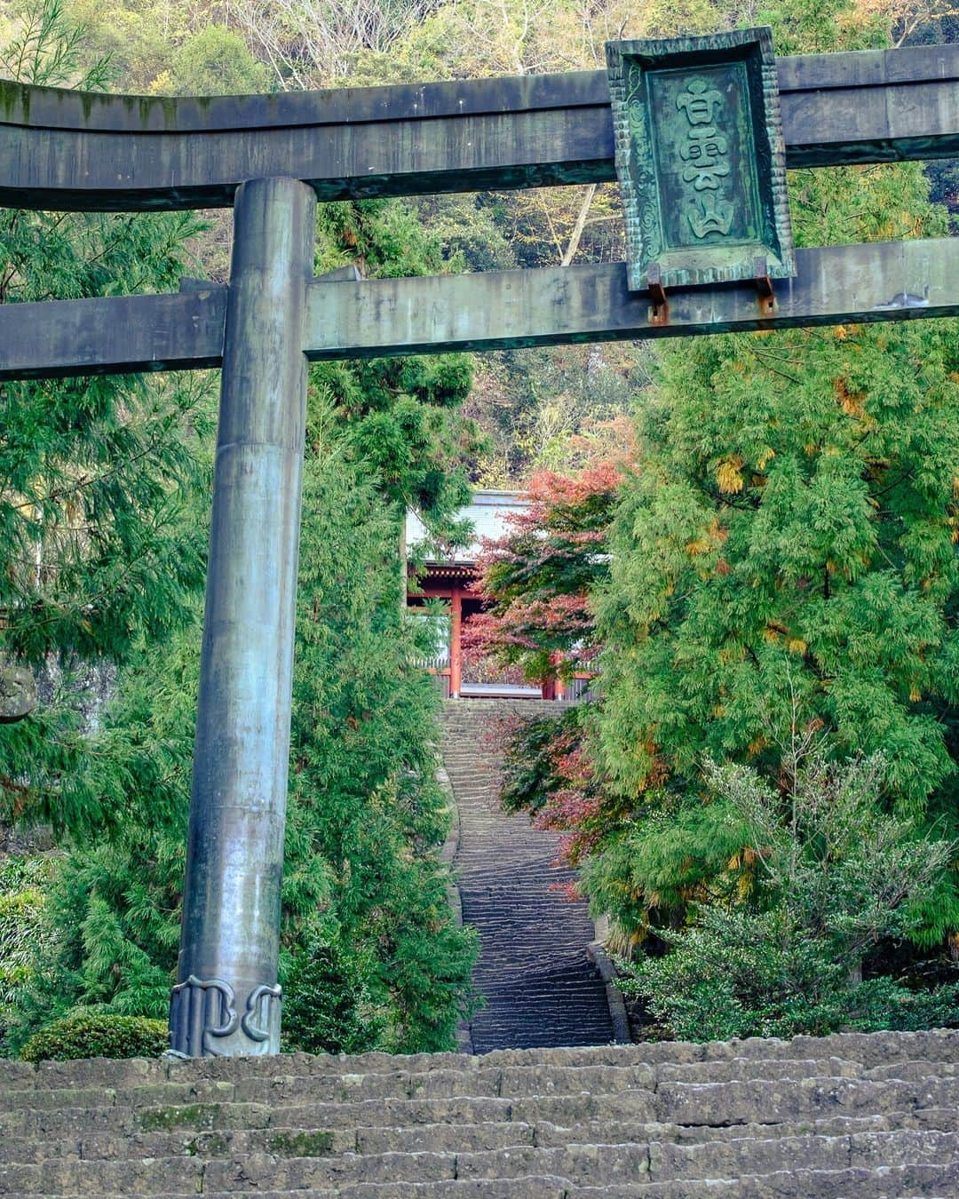 SHOCK EYEさんのインスタグラム写真 - (SHOCK EYEInstagram)「秋の妙義神社⛩  長い階段を息を切らせて昇り、たどり着いた本殿は黒塗りに鮮やかな装飾。 心がピンと整う感覚🙏✨  オススメは境内にある３本の御神木。 その真ん中に是非立ってみて＾＾ なんかパワーを頂けそう。  この神社さんは、ヤマトタケルなどが祀られていて、 上昇運、出世運などのご利益があるよ。 確かに、切り立った妙義山からはそんなパワーを感じるかも。  あとこの時期だけなのかな？ 境内に設置された穏やかな風鈴の音が気持ちよかったなあ。  今年の紅葉はまだそこまで色付いてなかったので、去年の写真と織り交ぜて紹介するね😊  たまたまご挨拶に行こうと思い立って訪ねたら、ちょうど一年前だった🙏😆✨  ご縁だね。  #妙義神社 #群馬 #妙義山 #myougishrine #gunma #gunmaprefecture #japantravel #japantrip #fujifilm #gfx100s #xs10 #beautifuldestinations #discoverjapan #discoverearth #voyaged #awesome_photographers #IamATraveler #wonderful_places #japanphoto #japanphotography #japan_of_insta #livingonearth #theglobewanderer」11月22日 11時01分 - shockeye_official