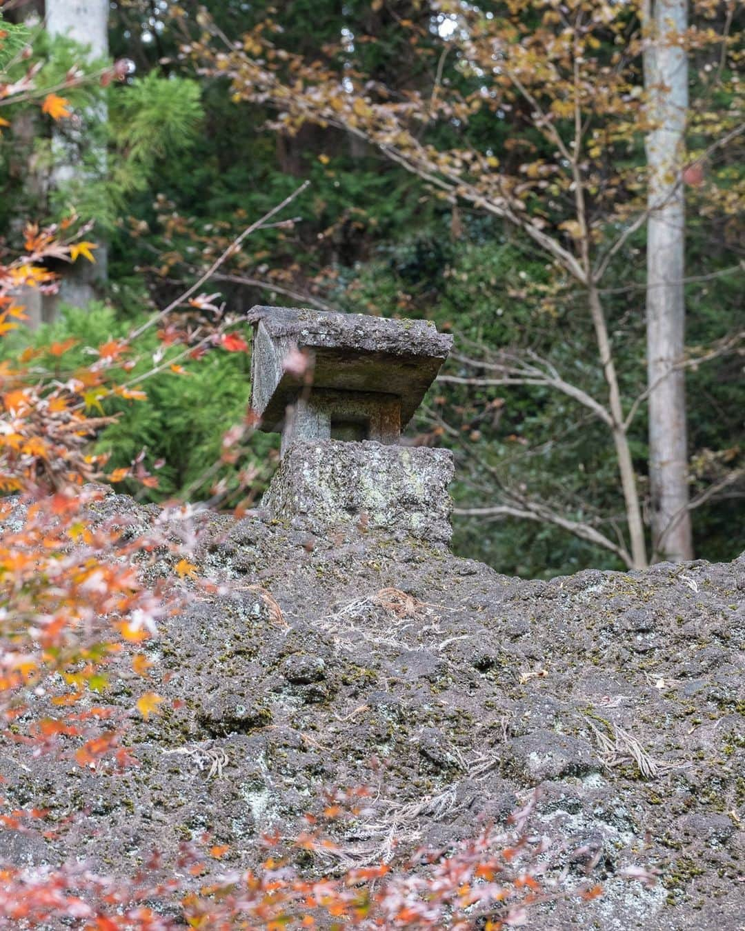 SHOCK EYEさんのインスタグラム写真 - (SHOCK EYEInstagram)「秋の妙義神社⛩  長い階段を息を切らせて昇り、たどり着いた本殿は黒塗りに鮮やかな装飾。 心がピンと整う感覚🙏✨  オススメは境内にある３本の御神木。 その真ん中に是非立ってみて＾＾ なんかパワーを頂けそう。  この神社さんは、ヤマトタケルなどが祀られていて、 上昇運、出世運などのご利益があるよ。 確かに、切り立った妙義山からはそんなパワーを感じるかも。  あとこの時期だけなのかな？ 境内に設置された穏やかな風鈴の音が気持ちよかったなあ。  今年の紅葉はまだそこまで色付いてなかったので、去年の写真と織り交ぜて紹介するね😊  たまたまご挨拶に行こうと思い立って訪ねたら、ちょうど一年前だった🙏😆✨  ご縁だね。  #妙義神社 #群馬 #妙義山 #myougishrine #gunma #gunmaprefecture #japantravel #japantrip #fujifilm #gfx100s #xs10 #beautifuldestinations #discoverjapan #discoverearth #voyaged #awesome_photographers #IamATraveler #wonderful_places #japanphoto #japanphotography #japan_of_insta #livingonearth #theglobewanderer」11月22日 11時01分 - shockeye_official