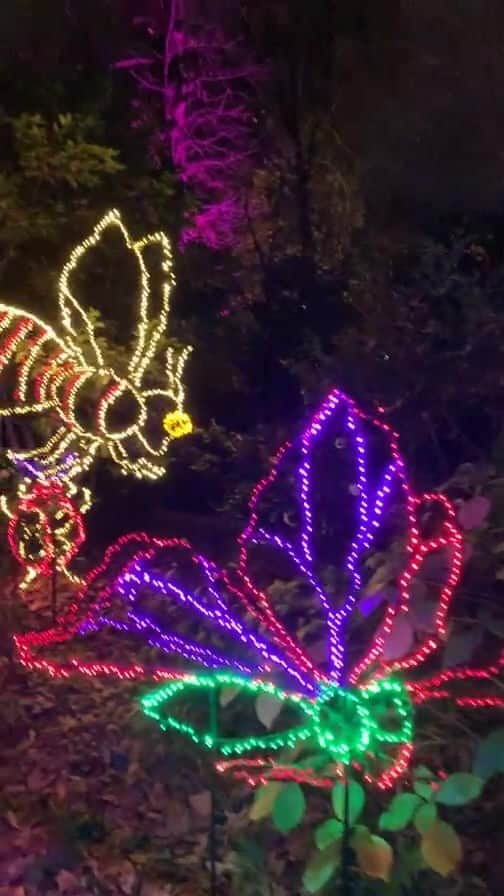 ボニー・モーガンのインスタグラム：「My ridiculous romp through the spectacular Garden Lights experience at the beautiful Atlanta Botanical Gardens」