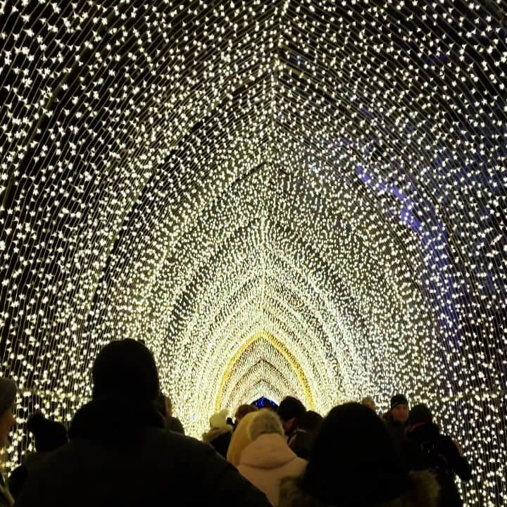 MEGのインスタグラム：「最近は5:30pmでも余裕で暗い🎄✨」