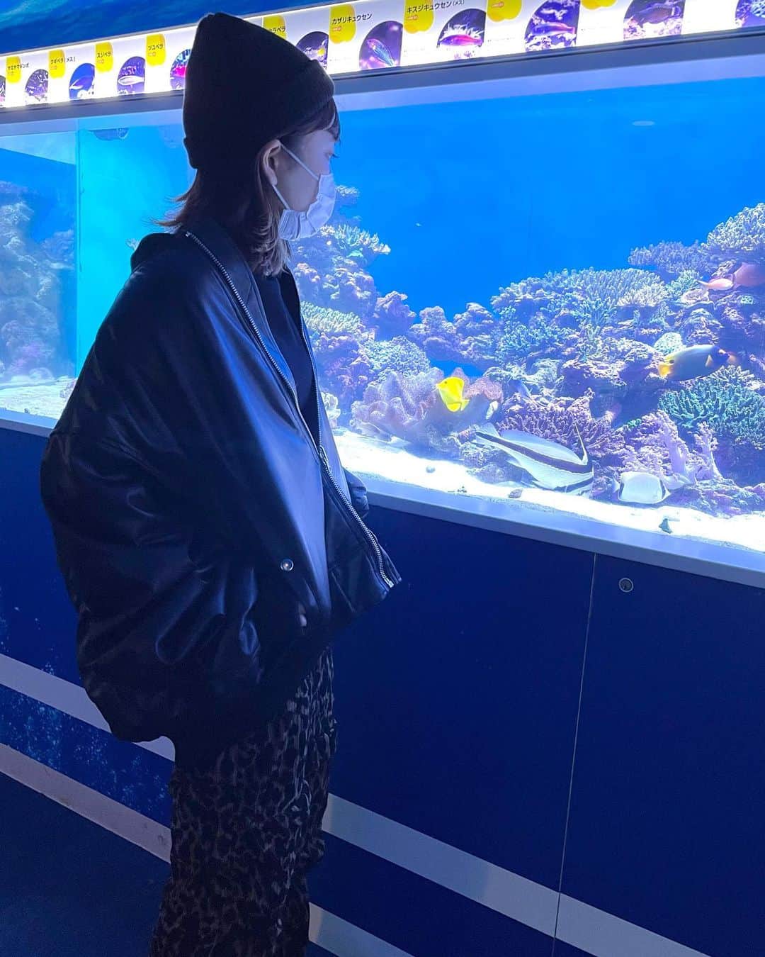 にこのインスタグラム：「魚を眺める美少女のつもりが 魚にメンチきってる柄悪い人になってた  彼氏目線と見せかけてとある収録でした💃🏻」