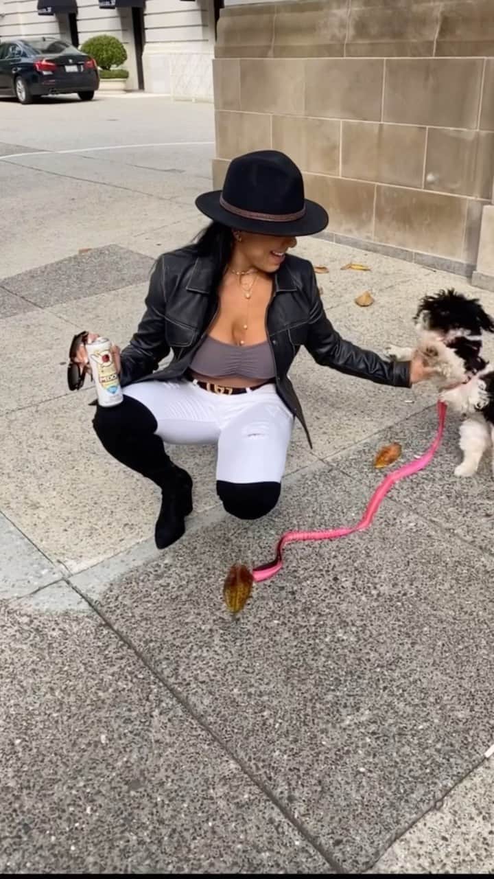 Eri Antonのインスタグラム：「San Francisco vibes with Luna and @BangEnergy⁣ 💕  ⁣ Go to www.bangenergy.com⁣ and use ERI10 for a 10% discount⁣ ⁣ Follow the inventor: @BangEnergy.CEO 😎 ⁣  ⁣ #BangHardSeltzer #HardSeltzer #AD」
