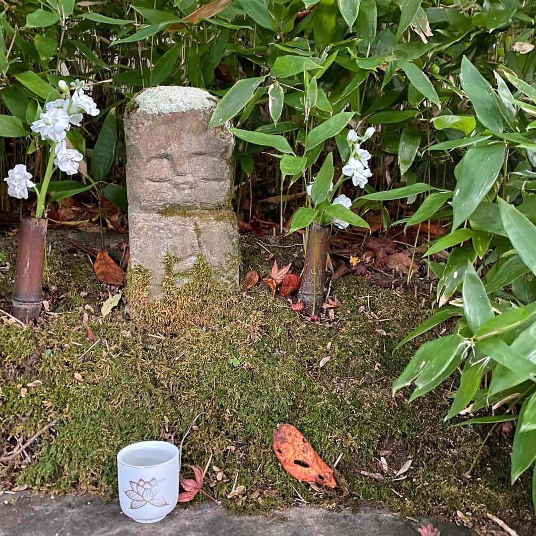 瀬戸内寂聴のインスタグラム：「日頃寂庵に親しんでくださっているみなさまへ  当庵　瀬戸内　寂聴　儀　１１月９日　百歳の世寿を全ういたしました。 ここに生前のご厚諠に深謝し謹んでご通知申し上げます。  葬儀は１１月１３日近親者のみにて滞りなく相営みました。 追って「偲ぶ会」を下記の通り執り行います。  一、 日　時　　１２月９日（木）１３時～１６時  一、 場　所　　曼陀羅山　寂庵  尚　誠に勝手ながらご香典の儀は固くご辞退申し上げます。 供花は下記URL（京都公益社ウェブサイト）よりお申し込みいただけます。 https://www.koekisha-kyoto.com/ 京都公益社ウェブサイトにアクセス後、 「供花のご案内 お申し込みはこちらから」のバナーよりお申し込みください。  当日　式典は行わず焼香のみとさせていただきます。  ご来庵の節は平服にて上記の時間内でご都合の良い時間にお越し下さい。 長時間外でお並び頂く可能性がございます。 暖かくしてお越しください。  新型コロナウィルス感染予防のためマスクの着用や検温のご協力をお願い申し上げます。  駐車場はございませんので、公共機関をご利用ください。  また当日は寂庵、並びに関係者への取材はお断りいたします。 参列の方々、および近隣の皆様にご迷惑のかからないよう、ご配慮の程お願い申し上げます。  曼陀羅山　寂庵  京都府京都市右京区嵯峨鳥居本仏餉田町7-1 ※当日、寂庵へのお問い合わせはお控えくださいますようお願い申し上げます。」