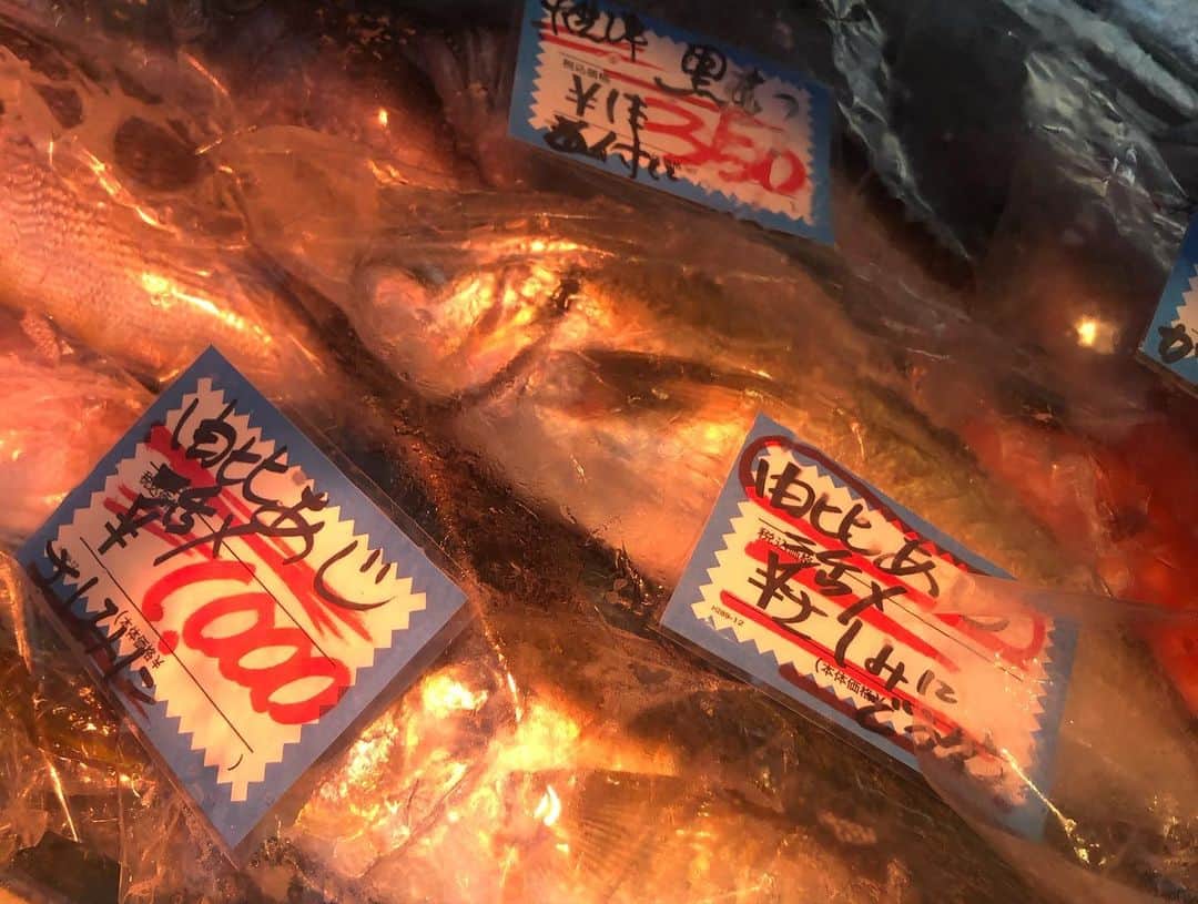 のインスタグラム：「今日は静岡でオフってるので、お刺身買いに行って来た！  おっちゃんにオススメ聞いて、サイズ的にも「由比アジ」に決定。  魚を取り出した時に良い色でしょー？って言ってたからおっちゃん的にも自信がアリな一匹。  おっちゃんが良い人過ぎて気分が良くなって来たので、刺身以外も自家製あん肝の煮付けを買って帰って来た。  家の近所に欲しいお店やなー  #オフの過ごし方」