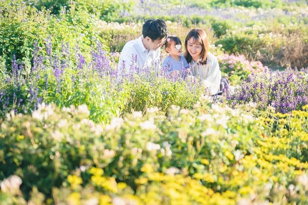 小野恵美のインスタグラム：「1122、いい夫婦の日🕊️ これからもずっとよろしくね。  今夜の献立はクリームシチュー🍽️🍲  #1122 #11月22日 #いい夫婦の日 #いつもありがとう #これからもよろしくね #夫婦」