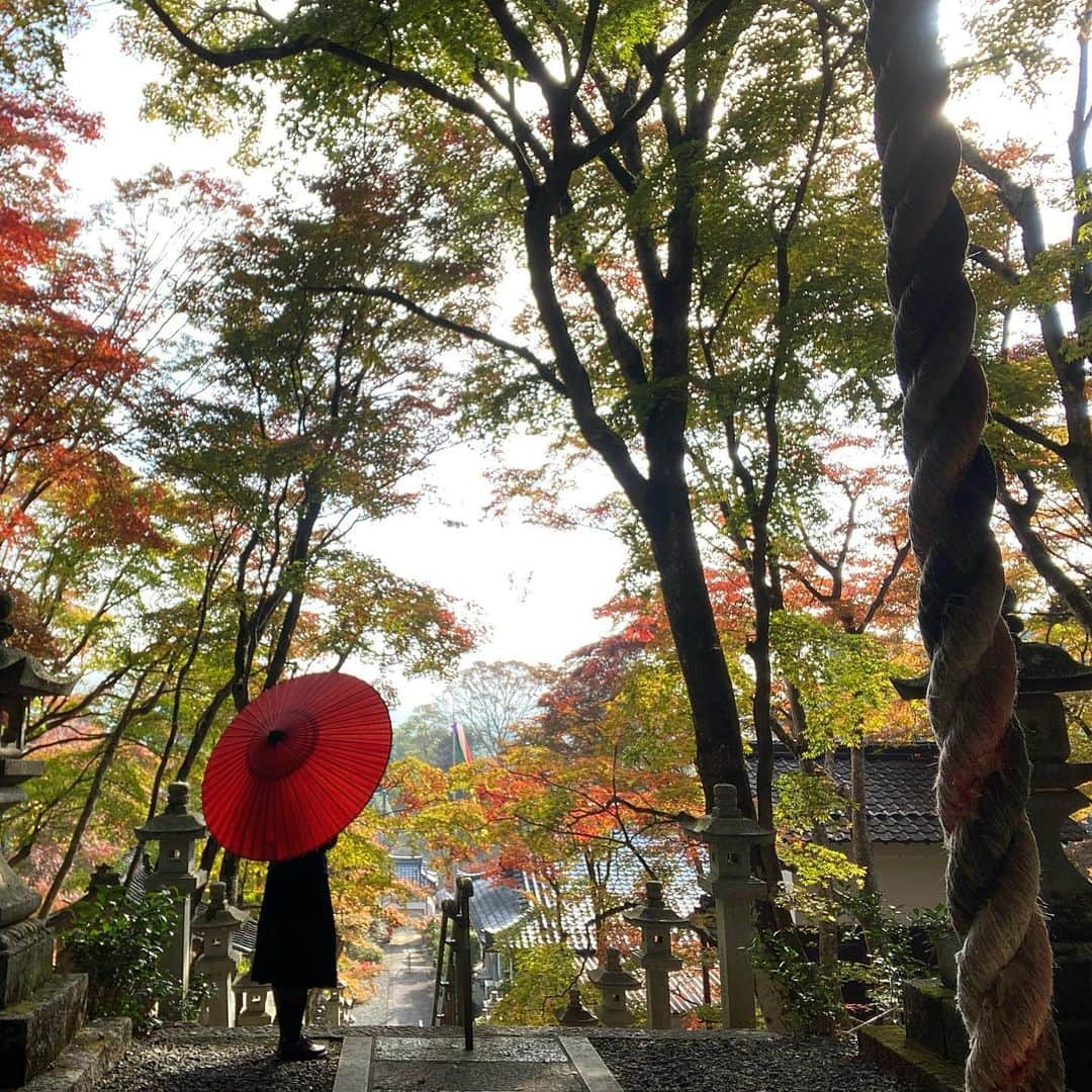 Atsukoさんのインスタグラム写真 - (AtsukoInstagram)「＊ Autumn leaves ・ ・ 観光地勤めには、この時期の通勤困難が苦痛😭観光戻りの反動がきついので、お店の人には優しくしてください…(泣 ・ ・ ＊ #wagasa #kyoto #japan #和傘 #京都 #日本」11月23日 7時45分 - atsuko12