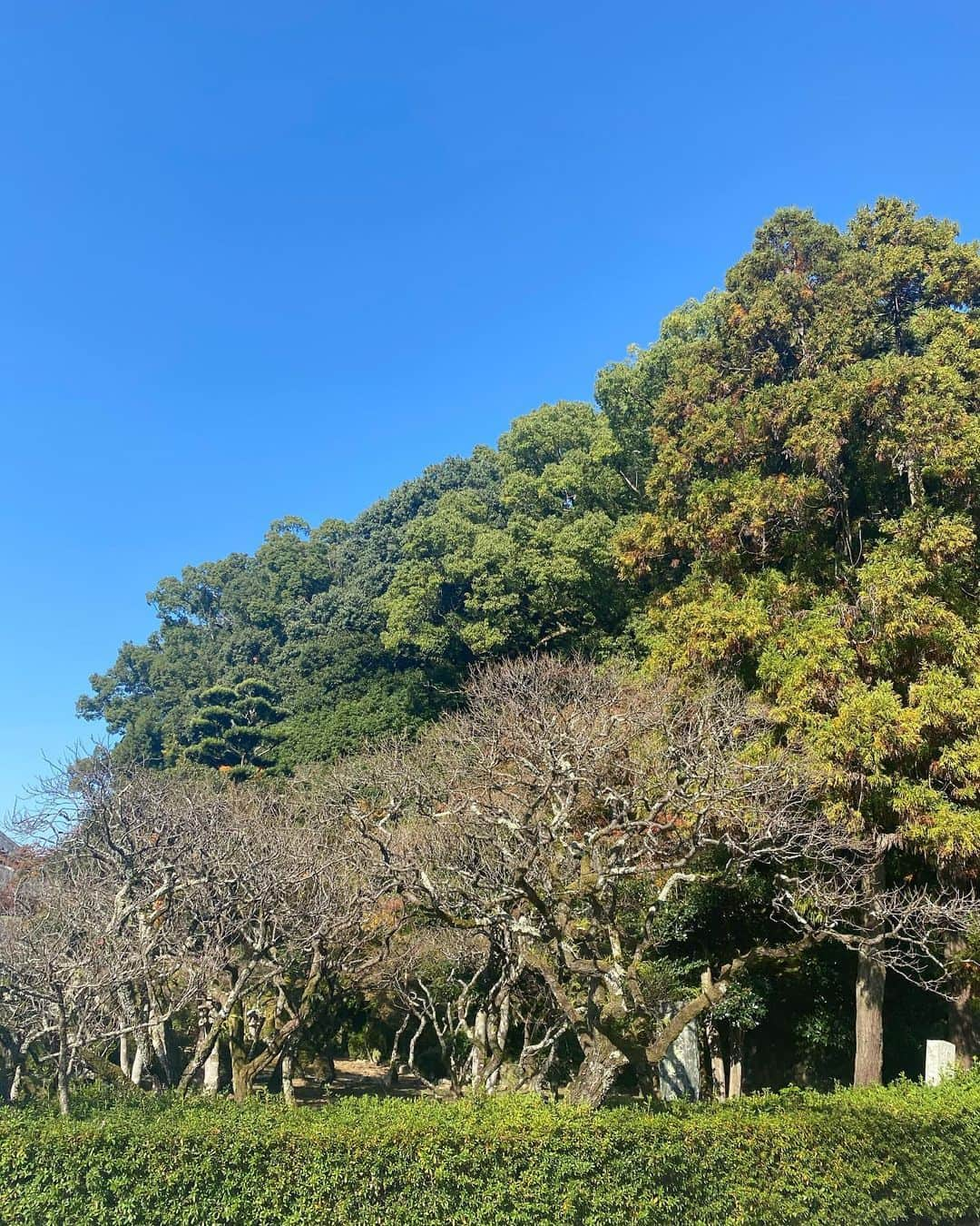 安美錦竜児（安治川）さんのインスタグラム写真 - (安美錦竜児（安治川）Instagram)「本日NHK幕内向正面解説です✨正面は北の富士さんです。頑張ります👍#大相撲 #九州場所 #NHK #解説 #安美錦 #安治川 #紅葉がきれい」11月23日 9時21分 - aminishiki_ajigawa