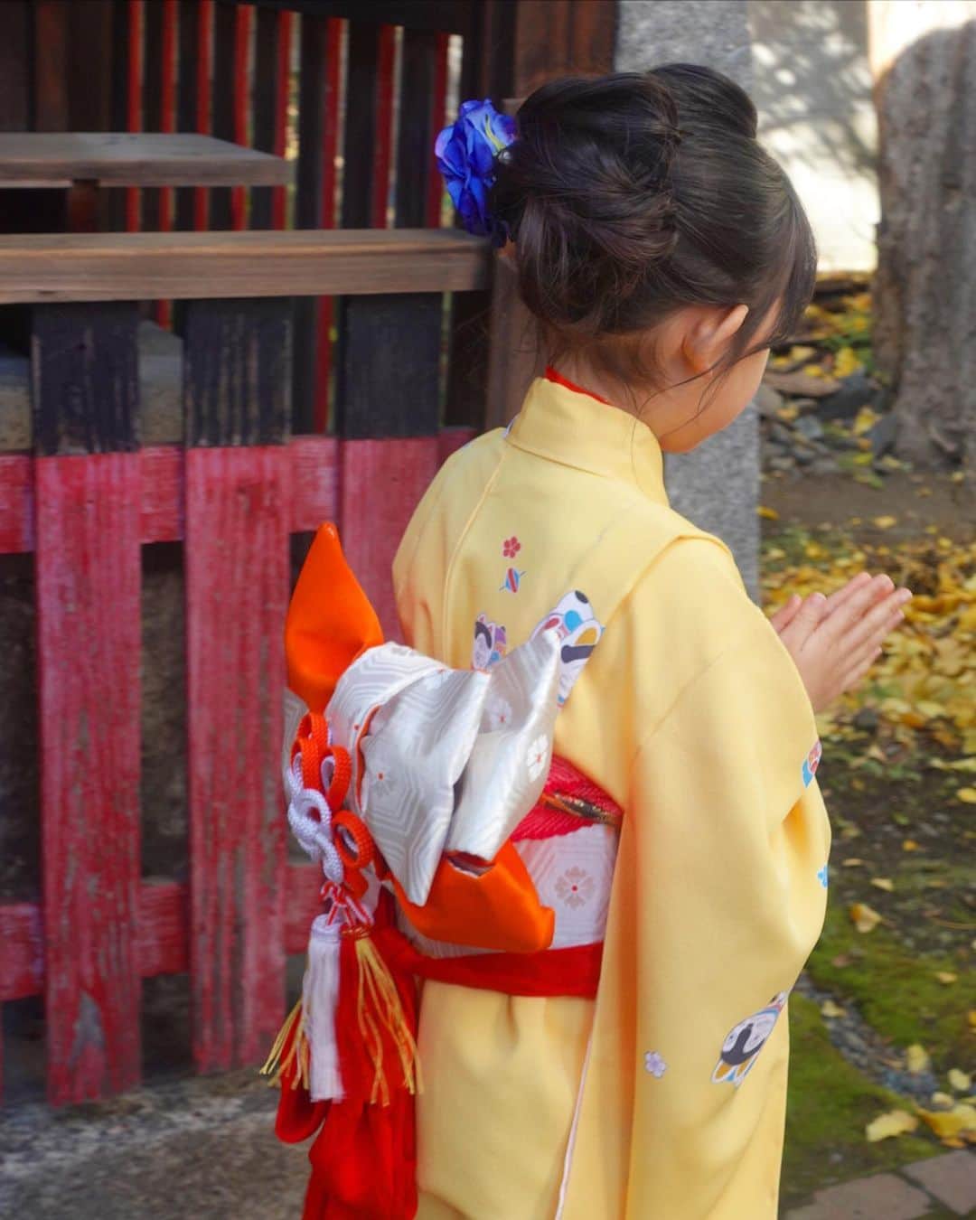 松尾翠さんのインスタグラム写真 - (松尾翠Instagram)「大イベント 七五三✨  おねぇ7歳 ボンバー3歳  なんとか無事？ 終わりましたーーーー😂♡  いやーーー3人つれて、、もうこれは 台風のようなイベントだ、、😱  なにはともあれ 自然の中で野性味溢れて 元気に楽しく大きくなーれー！！  おねぇはきいろのお着物を作ってもらって✨ ボンバーはおねぇも 歴代の面々も着ている黄緑色のお着物に 私が昔着た、オレンジの被布を☺️  2歳が近づくやんちゃ坊主 ボーは動きが激しくなり ますます一層の カオスを演出😂 おねぇたちが撮影で持つ傘が持ちたくて 奪い取ってはダッシュ💨 逃げ足がはやい そしてごねる😂  今日はとても寒かったですね🥺  同じく七五三の皆様も 本当におつかれ様でした✨  世界のこどもたち みんなみんなうれしい楽しいをたくさん知って 元気に大きくなってほしい✨  #七五三 #大きくなれ  #子供の着物 #京都の暮らし」11月23日 16時02分 - midori.matsuo_official