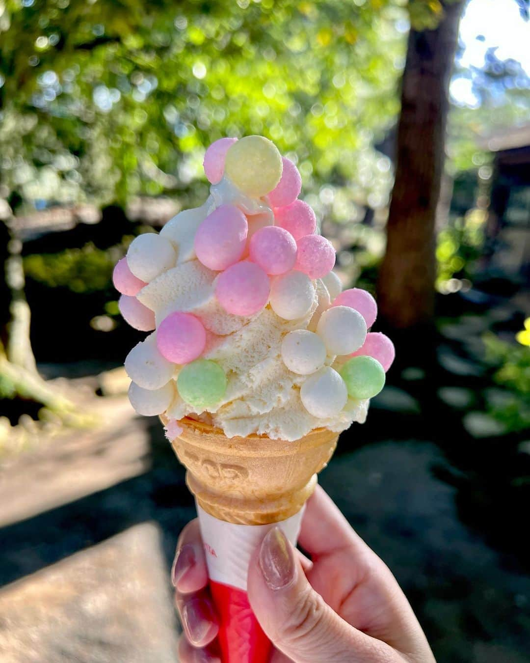 佐野真彩さんのインスタグラム写真 - (佐野真彩Instagram)「香川県【栗林公園】🍁 国の特別名勝に指定されている庭園の中で最も広く、日本三名園よりも木や石に優雅な趣があると記されているほど。  実家が近いので帰省すると散歩がてら行くのですが、心が落ち着くとても良い庭園です👟 今回は母と行きました。  次は和船に乗りたいな🚤 （近いとその内の連続で未だに乗ったことがないという。笑）  コート▶︎ @stunninglure  ブーツ▶︎ @dianashoespress   #香川県　#栗林公園　#香川観光　#stunninglure #kagawa #trip #ritsuringarden #地元紹介　#冬コーデ　#ダイアナブーツ　#おいりソフト」11月23日 13時18分 - sano.maya