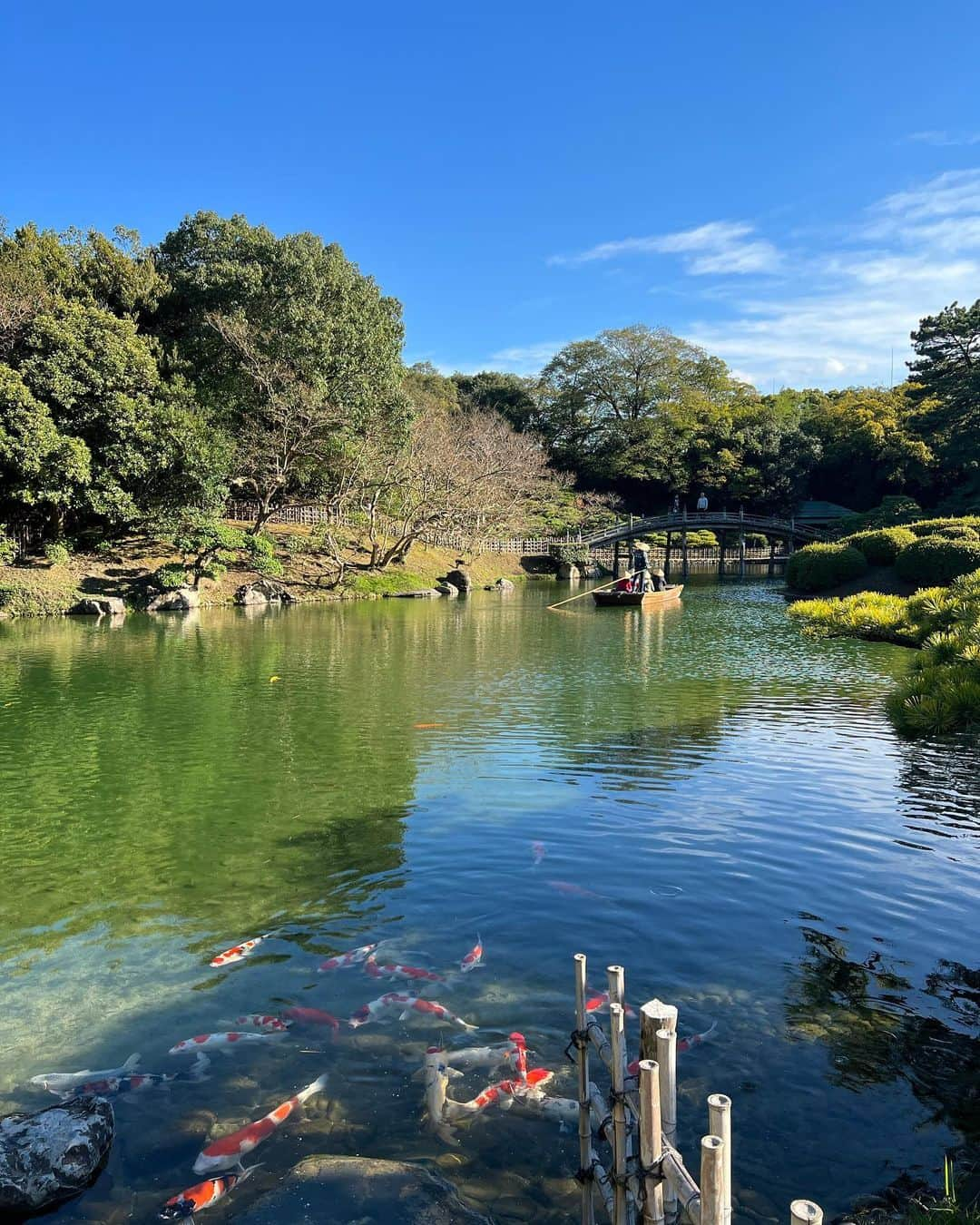 佐野真彩さんのインスタグラム写真 - (佐野真彩Instagram)「香川県【栗林公園】🍁 国の特別名勝に指定されている庭園の中で最も広く、日本三名園よりも木や石に優雅な趣があると記されているほど。  実家が近いので帰省すると散歩がてら行くのですが、心が落ち着くとても良い庭園です👟 今回は母と行きました。  次は和船に乗りたいな🚤 （近いとその内の連続で未だに乗ったことがないという。笑）  コート▶︎ @stunninglure  ブーツ▶︎ @dianashoespress   #香川県　#栗林公園　#香川観光　#stunninglure #kagawa #trip #ritsuringarden #地元紹介　#冬コーデ　#ダイアナブーツ　#おいりソフト」11月23日 13時18分 - sano.maya