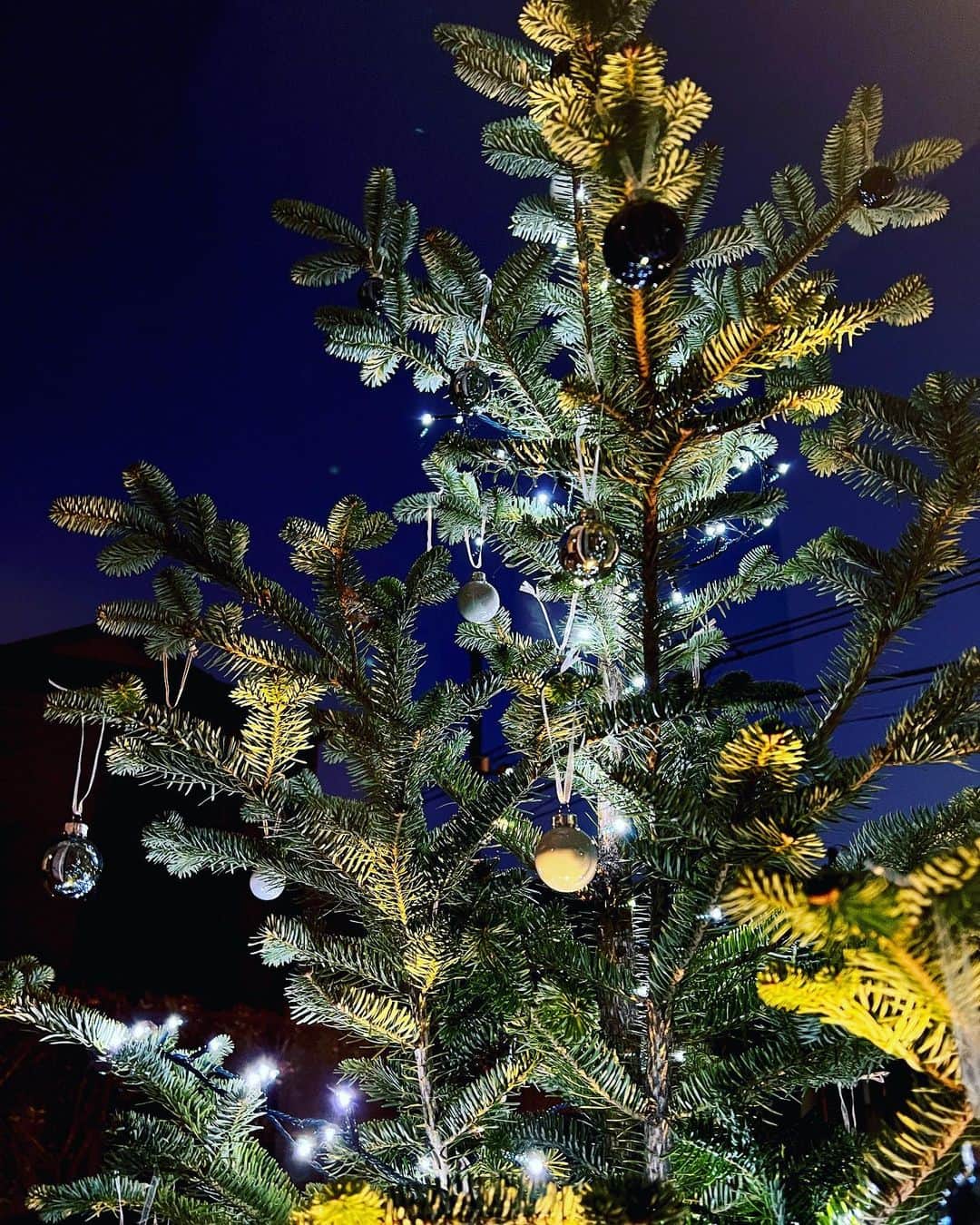 宮崎瑠依さんのインスタグラム写真 - (宮崎瑠依Instagram)「気づけば11月も残りわずか…街はクリスマス一色ですね🎄  我が家も少しずつクリスマスの準備を始めています🙌🏻  家のシンボルツリーとして植えた もみの木をクリスマスツリー🎄にしようと…ライトアップしてオーナメントをつけました🥰  オーナメントの色はブルー×シルバー ただ…オーナメントの数が足りなくて追加注文💦欲しいものが売り切れていたりして…なかなか完成しません😅w  今年の初め…家を建てたときに植えたので、まだこれからどんどん成長予定のもみの木。 可愛がって育てます✨  #クリスマスツリー #クリスマスツリー飾り付け #もみの木 #リアルもみの木 #シンボルツリー」11月23日 17時37分 - ruimiyazaki