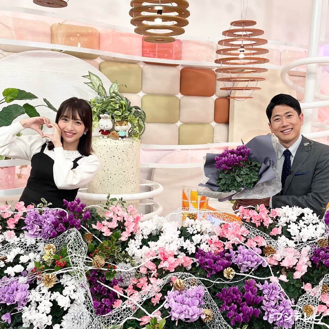 フジテレビ「めざましテレビ」さんのインスタグラム写真 - (フジテレビ「めざましテレビ」Instagram)「きょうのお花は「シクラメン」🌺 カラフルできれいなシクラメンは お歳暮にもオススメだよ😀 ＃めざましテレビ」11月23日 17時50分 - mezamashi.tv