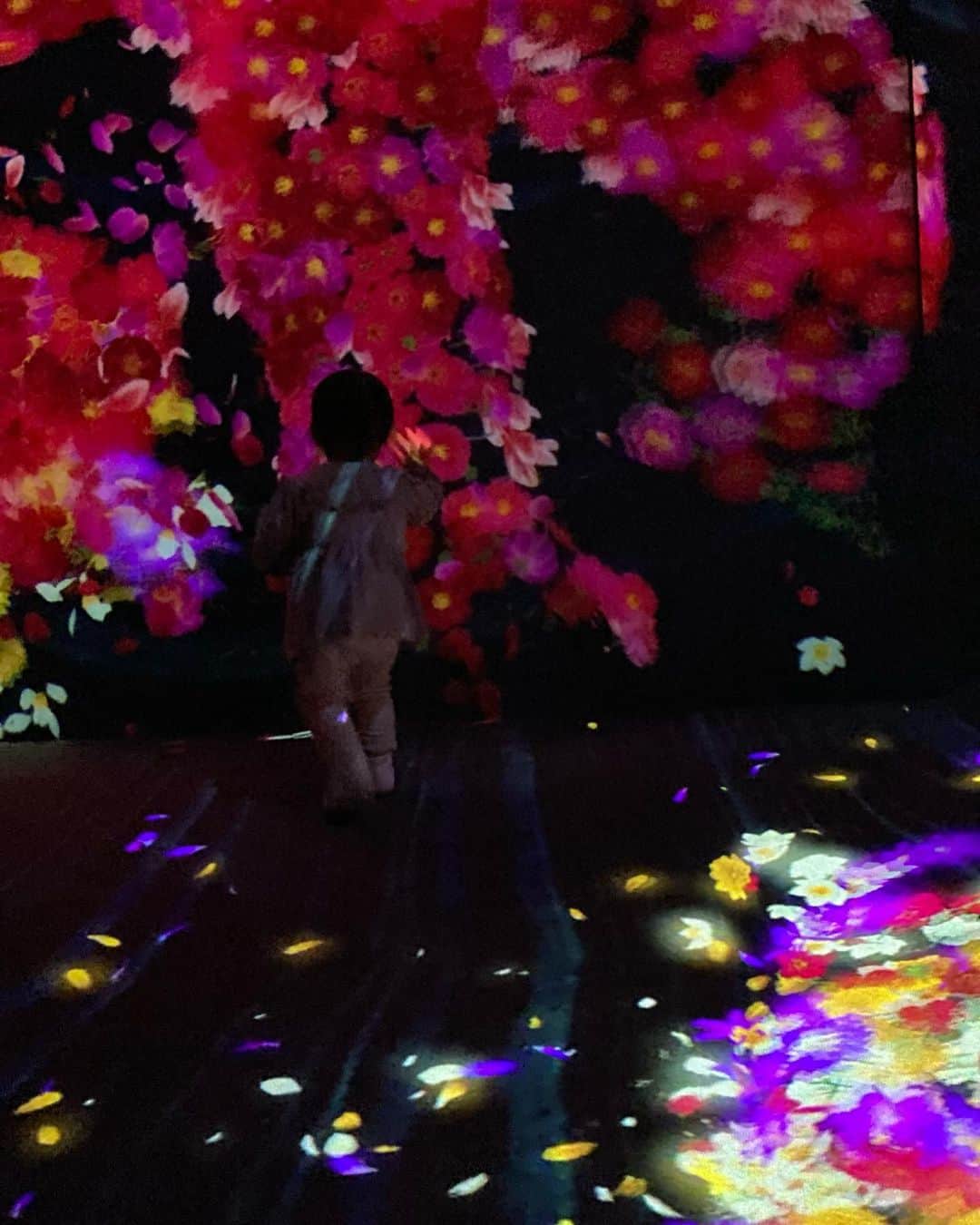 篠田麻里子さんのインスタグラム写真 - (篠田麻里子Instagram)「チームラボ✨幻想的✨  #チームラボ」11月23日 18時16分 - shinodamariko3