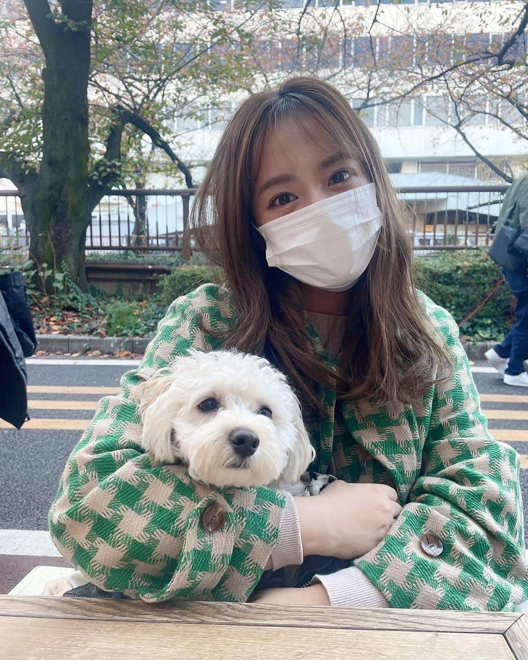 山田菜々さんのインスタグラム写真 - (山田菜々Instagram)「こまちゃんがこっち見てくれた🥺♥︎ 今日は一日お散歩カフェしたからおつかれです🧏‍♀️笑 (4枚目までみてほしい🤭)」11月23日 21時17分 - tannana.yamada