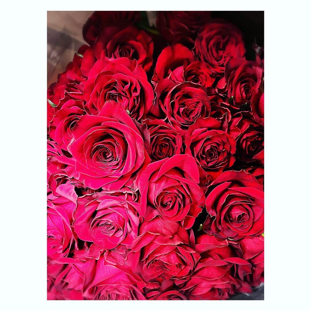 望月理恵さんのインスタグラム写真 - (望月理恵Instagram)「薔薇の花50本❣️  友達の誕生日のお祝いに 友人一同で送りました✨ 真紅の薔薇が似合うかっこいい女性。 姐さんと呼んでます😂 (同い年のくせにww) #誕生日#ハーフセンチュリー  #おめでとう！！ #私もそろそろ #覚悟はできてます笑  #薔薇#赤い薔薇 #花好き#ヴァーミリオン #ローズマート出荷組合  今日もよい一日になりますように。」11月24日 8時44分 - mochiee28