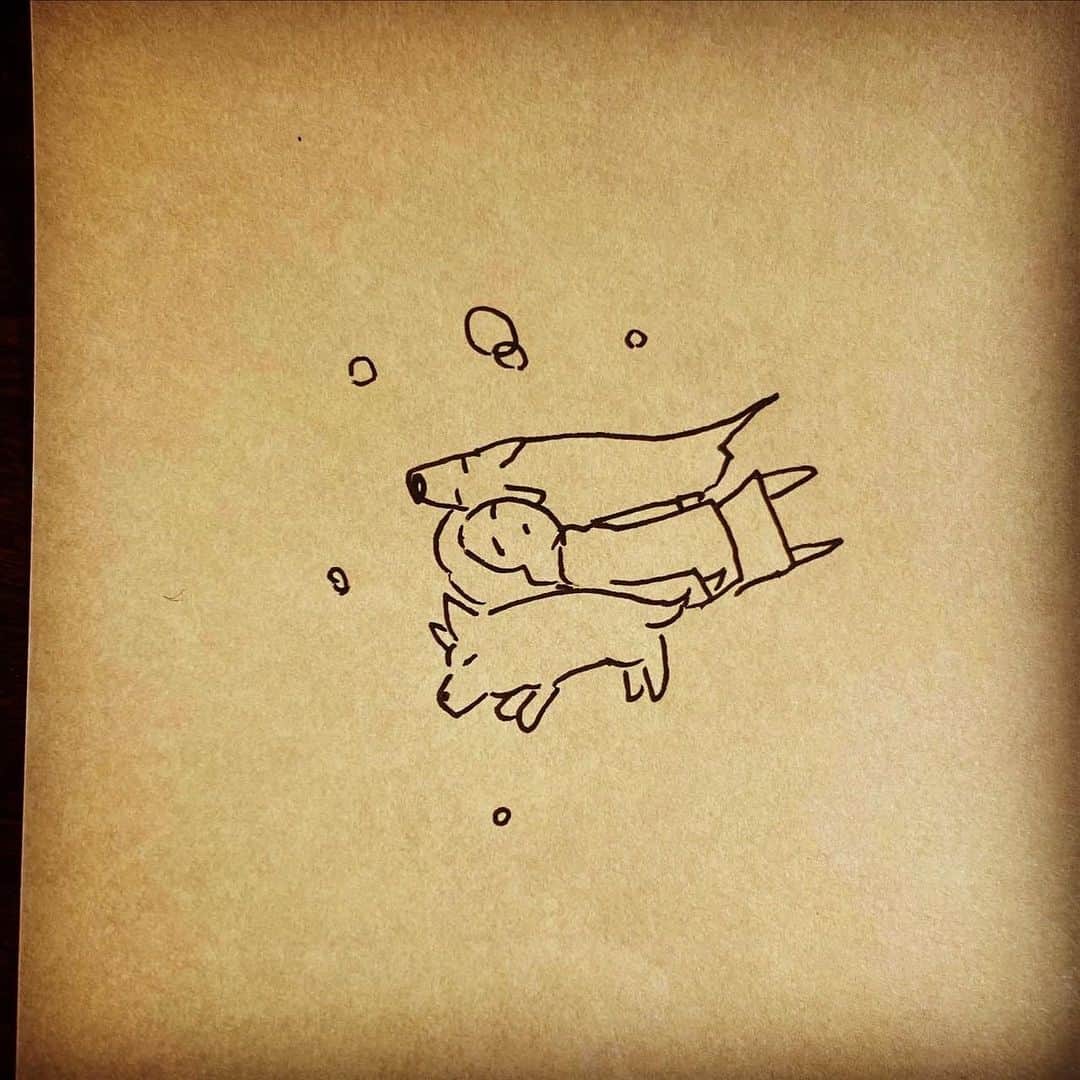 杏さんのインスタグラム写真 - (杏Instagram)「. ちょっとなのに、、すごい回復した…😴 Dogs have magical powers to heal people.  #杏  #やまと #じろう #イラストグラム  #anne  #dog #illustration」11月24日 19時49分 - annewatanabe_official