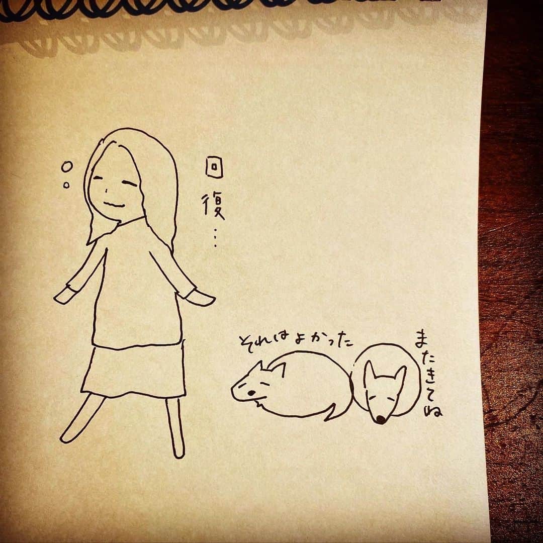 杏さんのインスタグラム写真 - (杏Instagram)「. ちょっとなのに、、すごい回復した…😴 Dogs have magical powers to heal people.  #杏  #やまと #じろう #イラストグラム  #anne  #dog #illustration」11月24日 19時49分 - annewatanabe_official