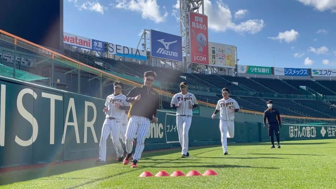 阪神タイガースのインスタグラム