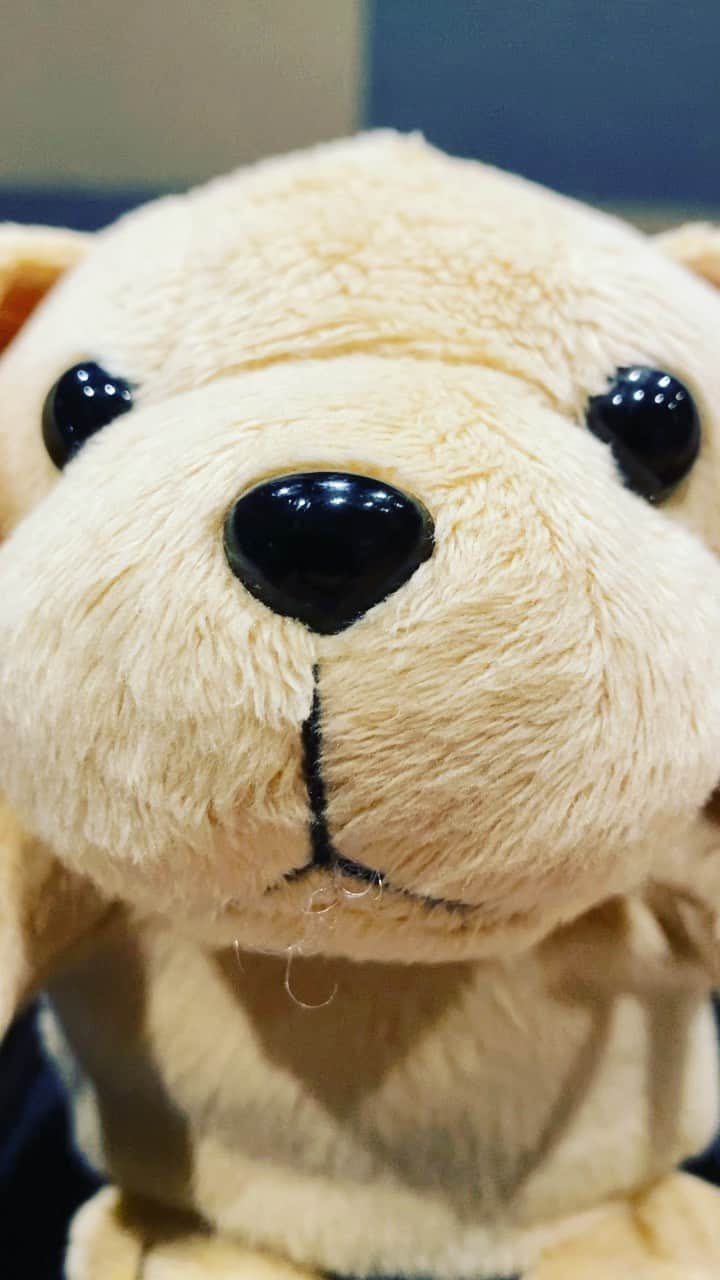 猪狩翔一のインスタグラム