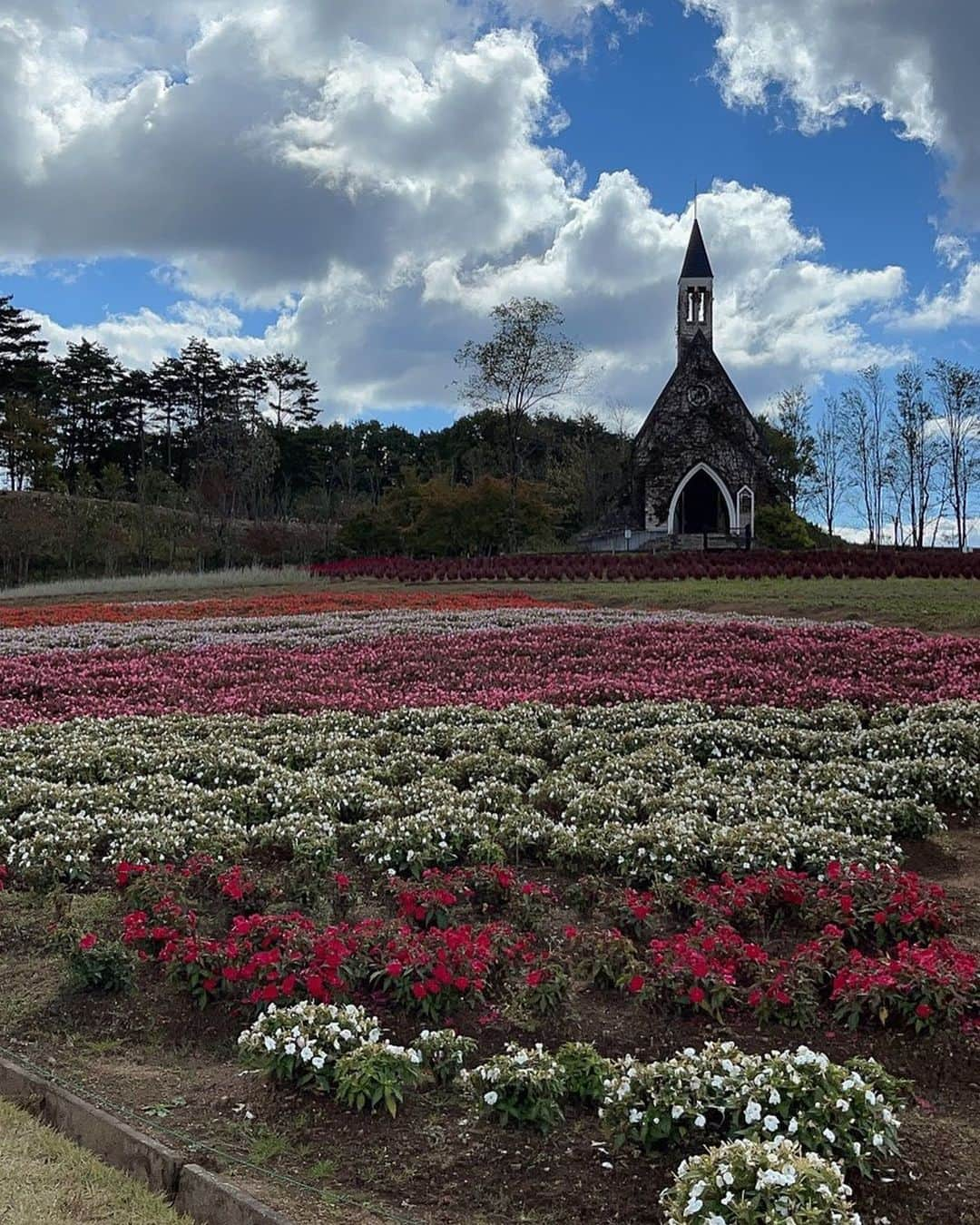 水谷雅子さんのインスタグラム写真 - (水谷雅子Instagram)「★日帰り女子旅“ひるがの高原・牧歌の里”① 以前、10月終わりにも一度アップしました“日帰り女子旅”。 もう少し詳しい内容をアップしました。☺️🐴 よかったらmasakoサロン見て下さいね❣️ #ドライブ#ひるがの高原#牧歌の里  #岐阜県#観光スポット #自然#花畑#動物#乗馬#アルパカ #綺麗な景色#癒されました #可愛すぎるアイスクリーム  #リフレッシュ#楽しい一日#仲良し #いつもありがとう #水谷雅子 #水谷雅子beautybook50の私  #水谷雅子の美容の秘訣シリーズ」11月24日 11時10分 - mizutanimasako