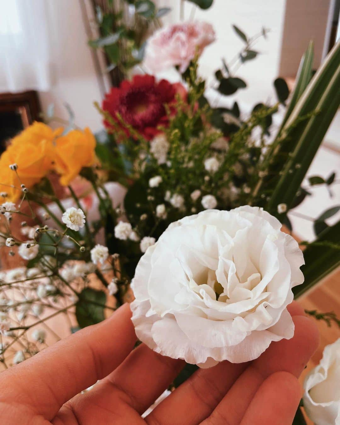二宮愛のインスタグラム