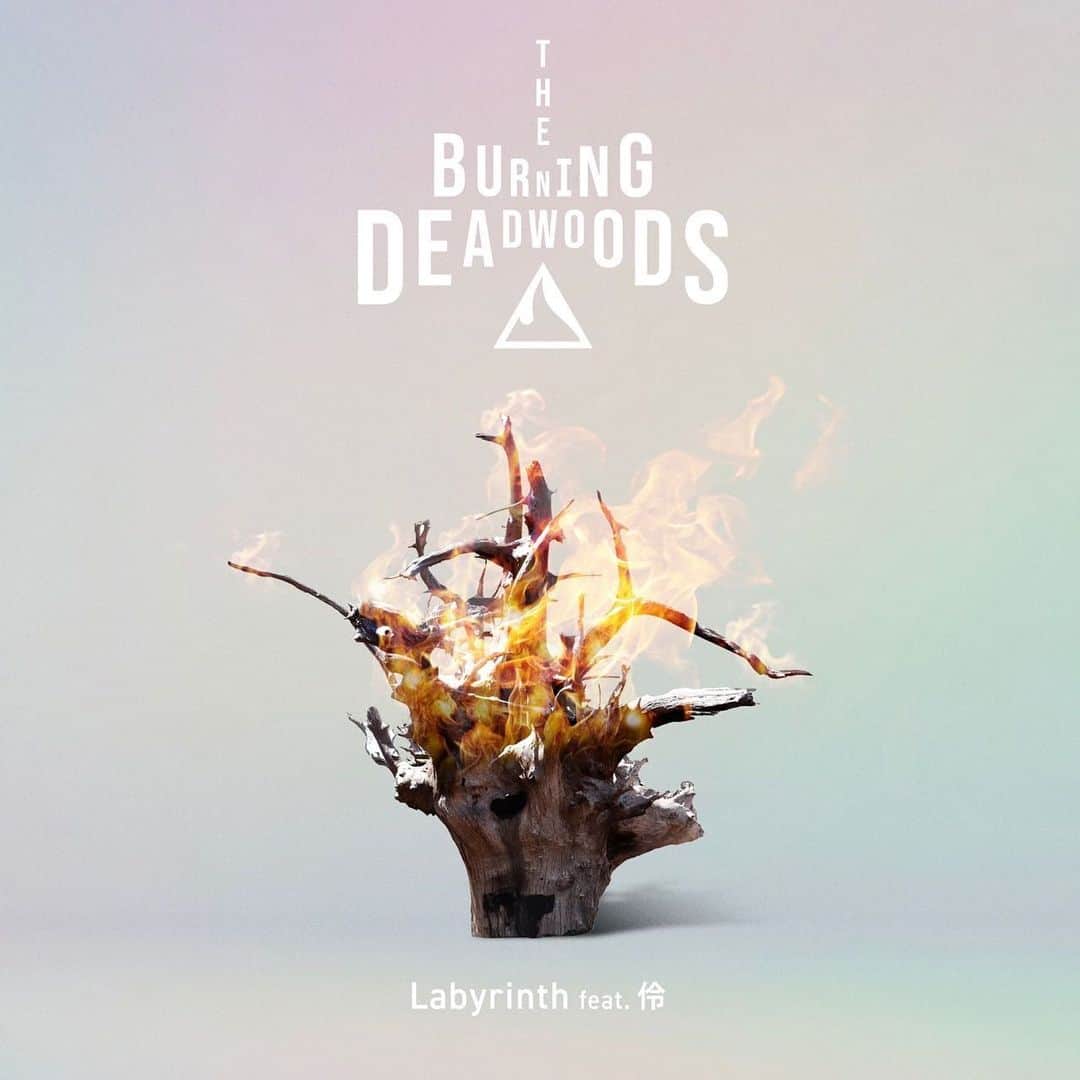 鷲尾伶菜のインスタグラム：「The Burning Deadwoodsの新曲「Labyrinth feat. 伶 」ゲストボーカル参加！11/24（水）配信開始＆リリックビデオ公開！  特定のボーカリストを持たないトラックメイカーによる2人組バンドThe Burning Deadwoodsの11/24（水）配信リリースとなった新曲「Labyrinth feat. 伶 」へゲストボーカル参加！作詞はシンガーソングライターReolさん✨  本日公開となったリリックビデオと合わせて是非チェックしてください！  配信シングル 「Labyrinth feat. 伶 」 配信日：2021年11月24日(水)  リンクはストーリーへ！」