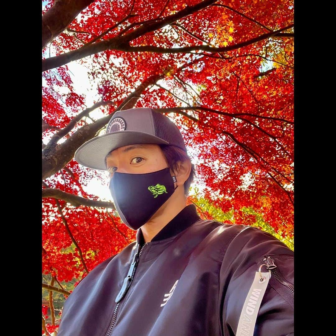 木村拓哉さんのインスタグラム写真 - (木村拓哉Instagram)「⁡ ⁡ ⁡ 「昨日の紅葉の中で‼︎ ⁡ 最高な気分転換になりましたぁ〜‼︎ ありがとうございましたぁ〜‼︎」 ⁡ STAYSAFE‼︎ ⁡ 拓哉 #木村拓哉#TakuyaKimura」11月24日 15時31分 - takuya.kimura_tak