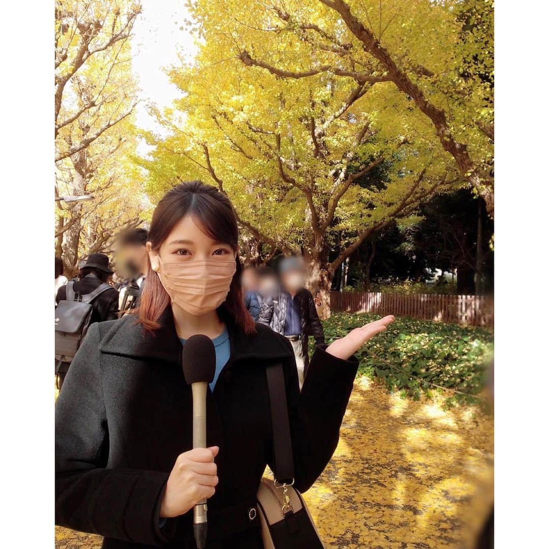 竹俣紅のインスタグラム：「🍁 きのうは都内各所を巡り、飛び石連休での人出を取材しました。 ⁡ 午前中は、神宮外苑いちょう並木でインタビュー。 お子さまたちが葉っぱで遊んでいるところをたくさん撮影させていただきました。 ご家族の皆さま、ご協力ありがとうございました😊 ⁡ 中には、生まれて間もなく世の中がコロナ禍になってしまい、今までお出かけをしたことがなく、 きょう生まれて初めていちょうを見たというお子さまも。 遠出はしないけれども、お子さまにできるだけいろいろな体験をさせてあげたいという親御さんの気持ちも知ることができました。 ⁡ ⁡ #神宮外苑いちょう並木」
