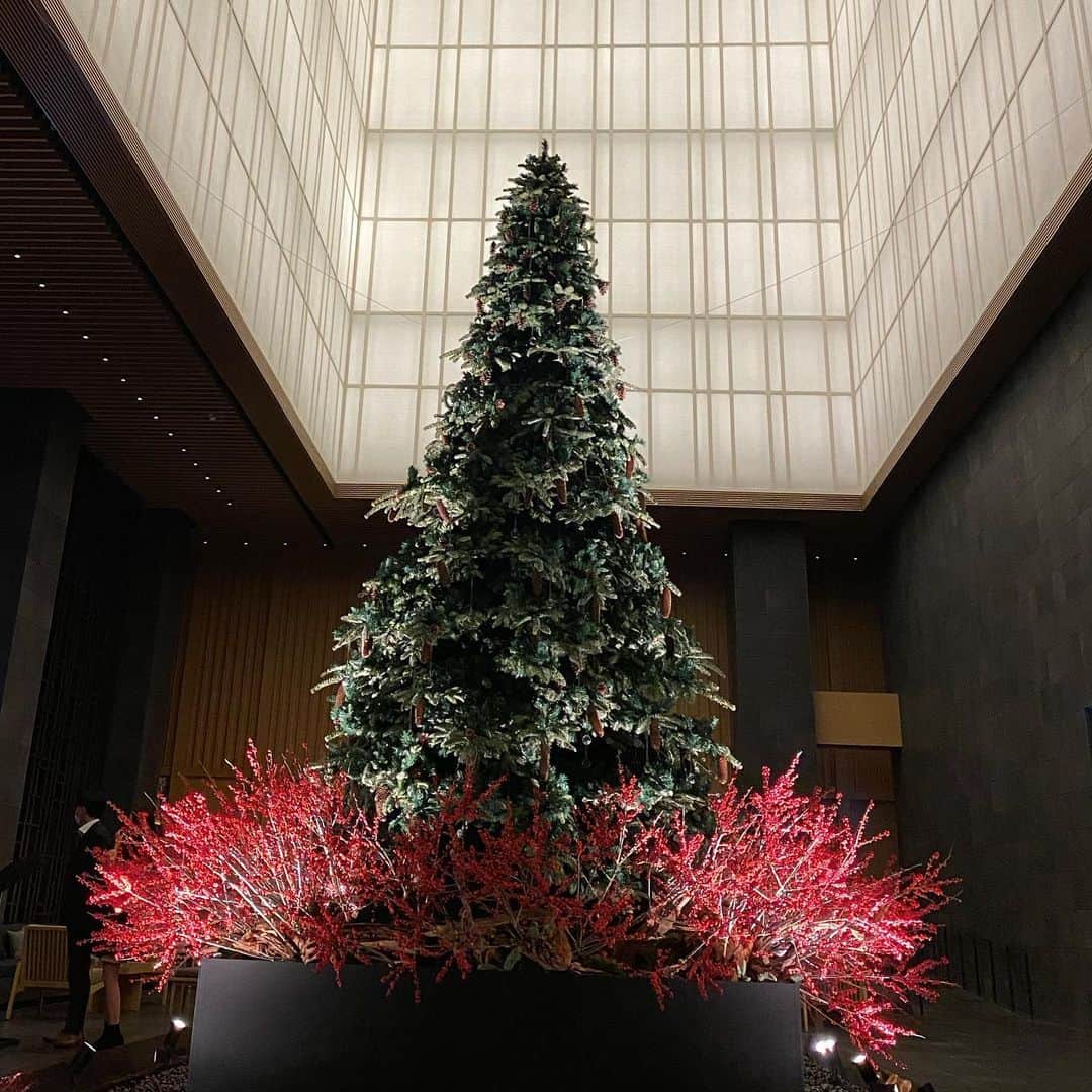 高岡早紀 さんのインスタグラム写真 - (高岡早紀 Instagram)「休演日。。 ゆっくりゆったり大切に自分時間を過ごしました。。 素晴らしいクリスマスツリー。 モミの香りに癒される。。  #アマン東京　#自分時間」11月24日 21時10分 - saki_takaoka