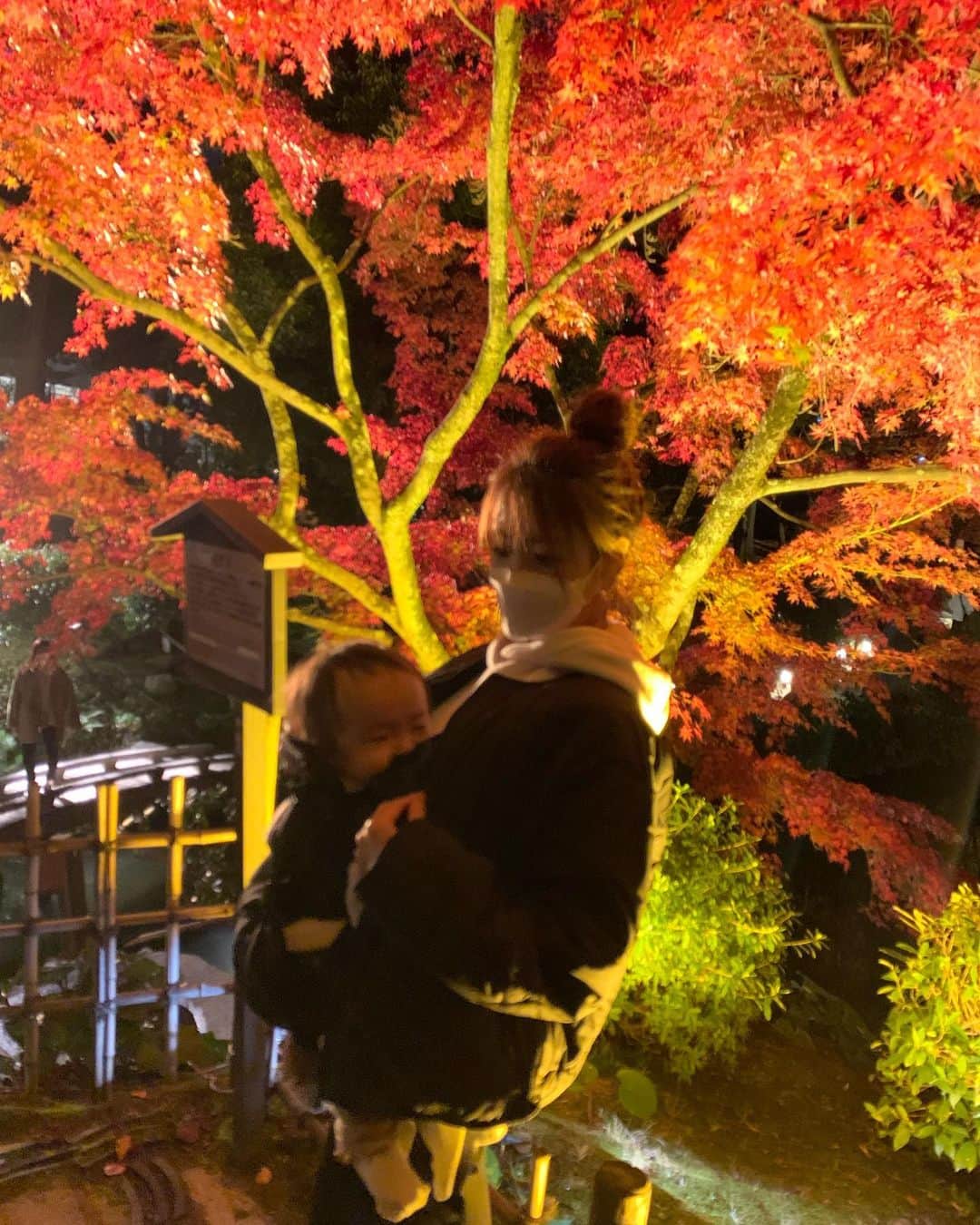 森直美のインスタグラム：「広島市、縮景園のライトアップ🍁水面に写る紅葉がお見事✨ もみじ饅頭たべたい。  ライトアップは次の日曜日まで♪  #紅葉ライトアップ#縮景園#広島ママ#広島子育て」