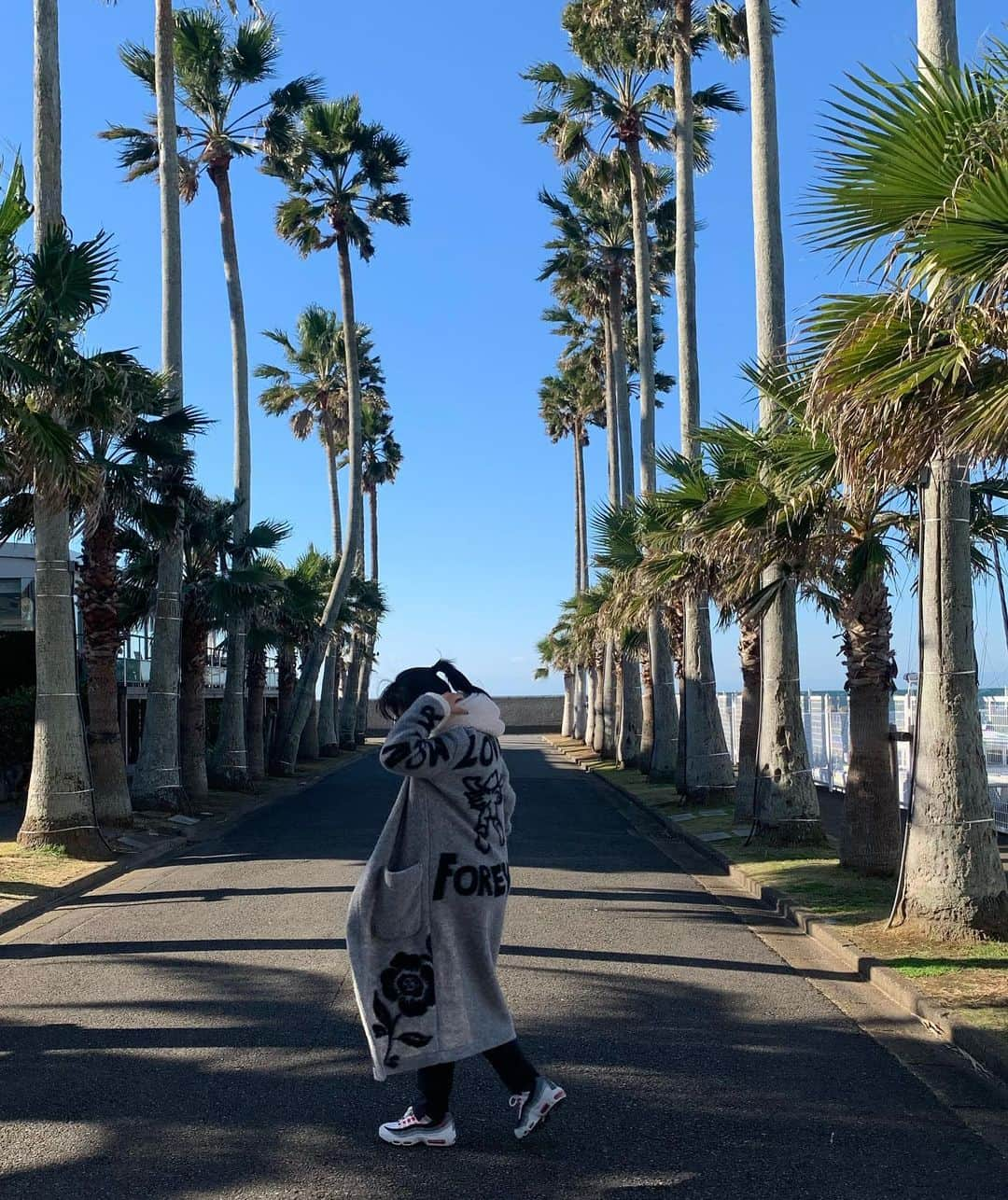 前田典子さんのインスタグラム写真 - (前田典子Instagram)「#朝散歩 @malibu_hotel に #ショートトリップ #天気よし☀️  #風強し #逗子#小坪 #映えますなぁ🌴🌴🌴🌴  #背中エンジェル　の #コート　は @pdst.jp にて @ottodame_jp」11月25日 9時45分 - maenorichang