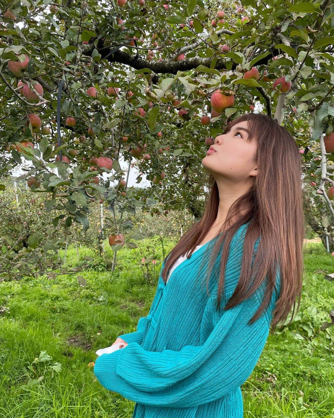 箭内夢菜さんのインスタグラム写真 - (箭内夢菜Instagram)「🍎 YouTubeオフショット りんご狩り楽しかったですー🥰 蜜がたっっぷりで本当にびっくりしました あんなに蜜が入ったりんごは始めてです😳  おいしすぎました🤤 薄井農園さん、ありがとございました！！   #福島  #薄井農園  #りんご狩り」11月25日 12時24分 - yumenayanai_official